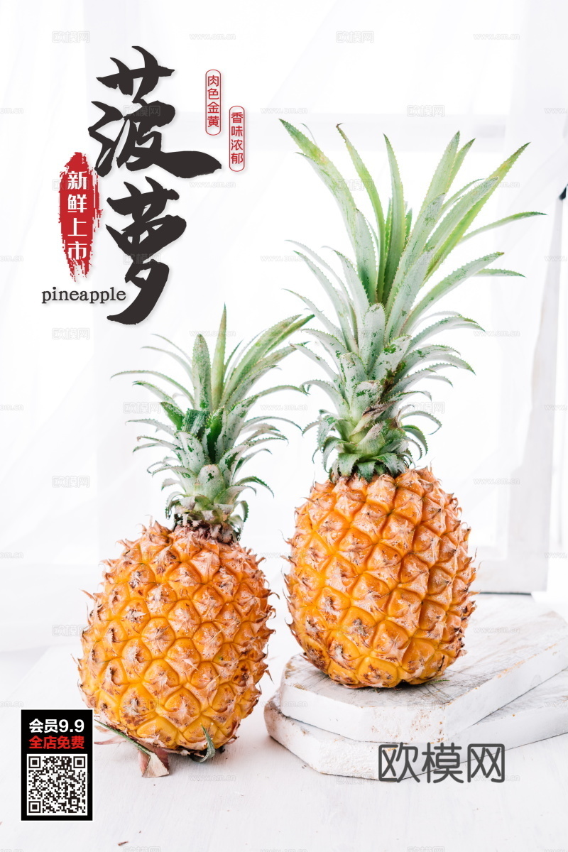 餐饮美食广告海报319下载