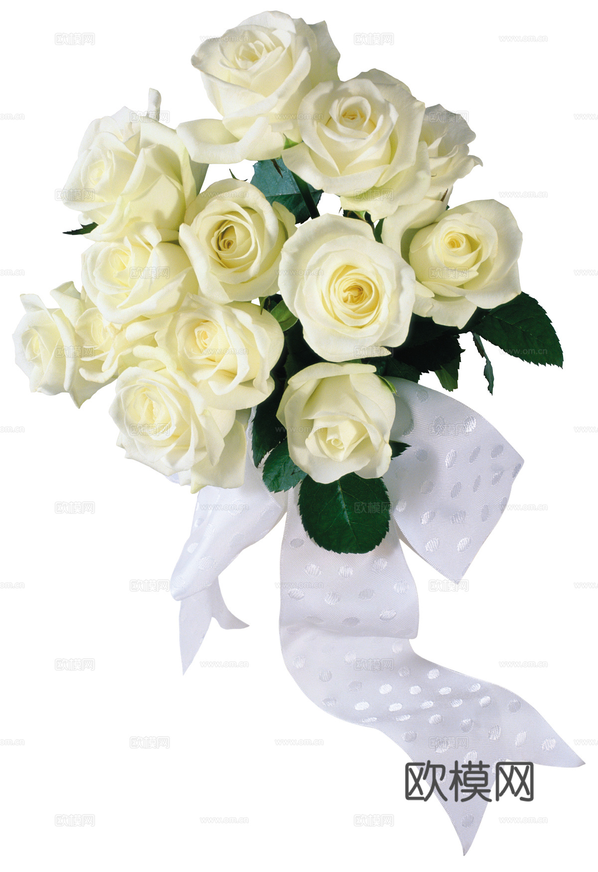 现代花卉植物PNG免抠