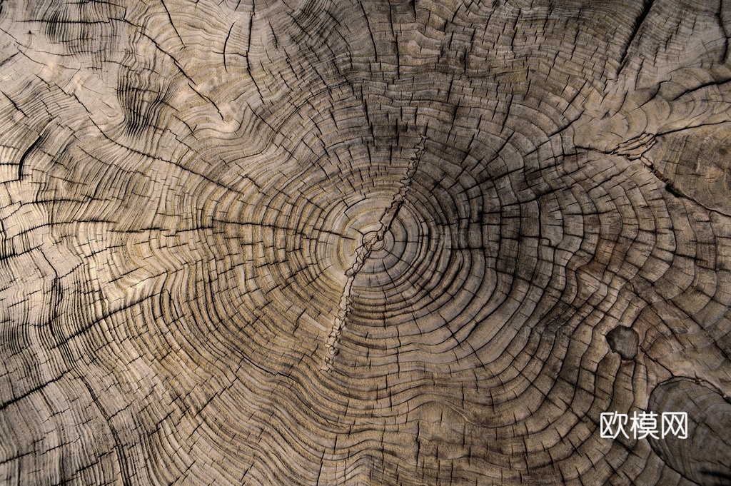 木纹贴图