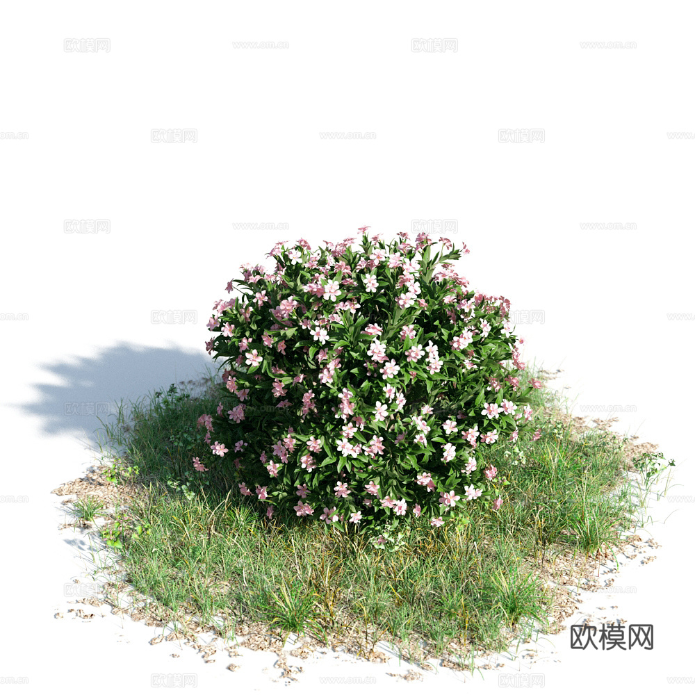 花 灌木 植物 花草 绿篱 花园 花坛 花丛3d模型下载（渲染图1）