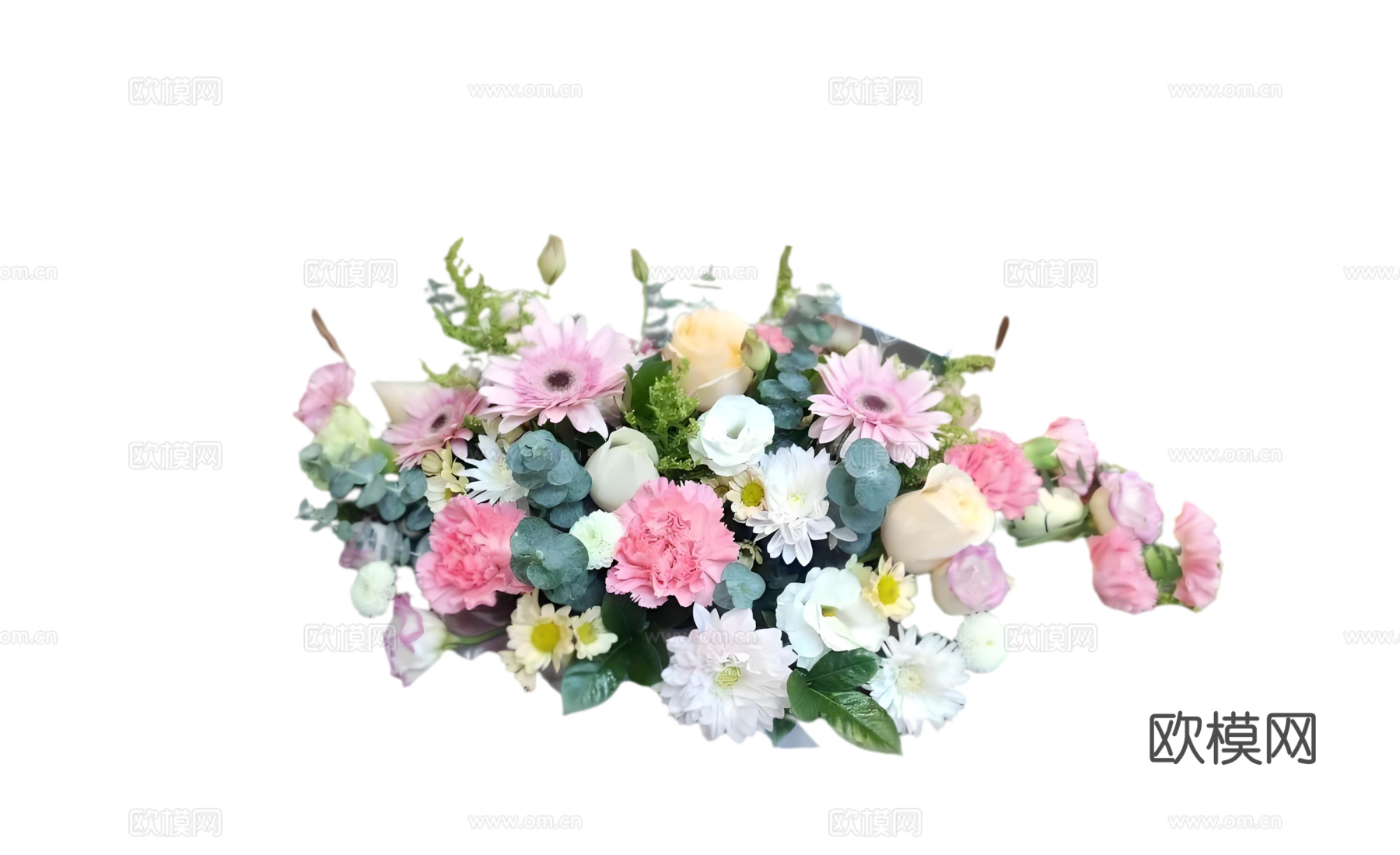 现代花卉植物PNG免抠