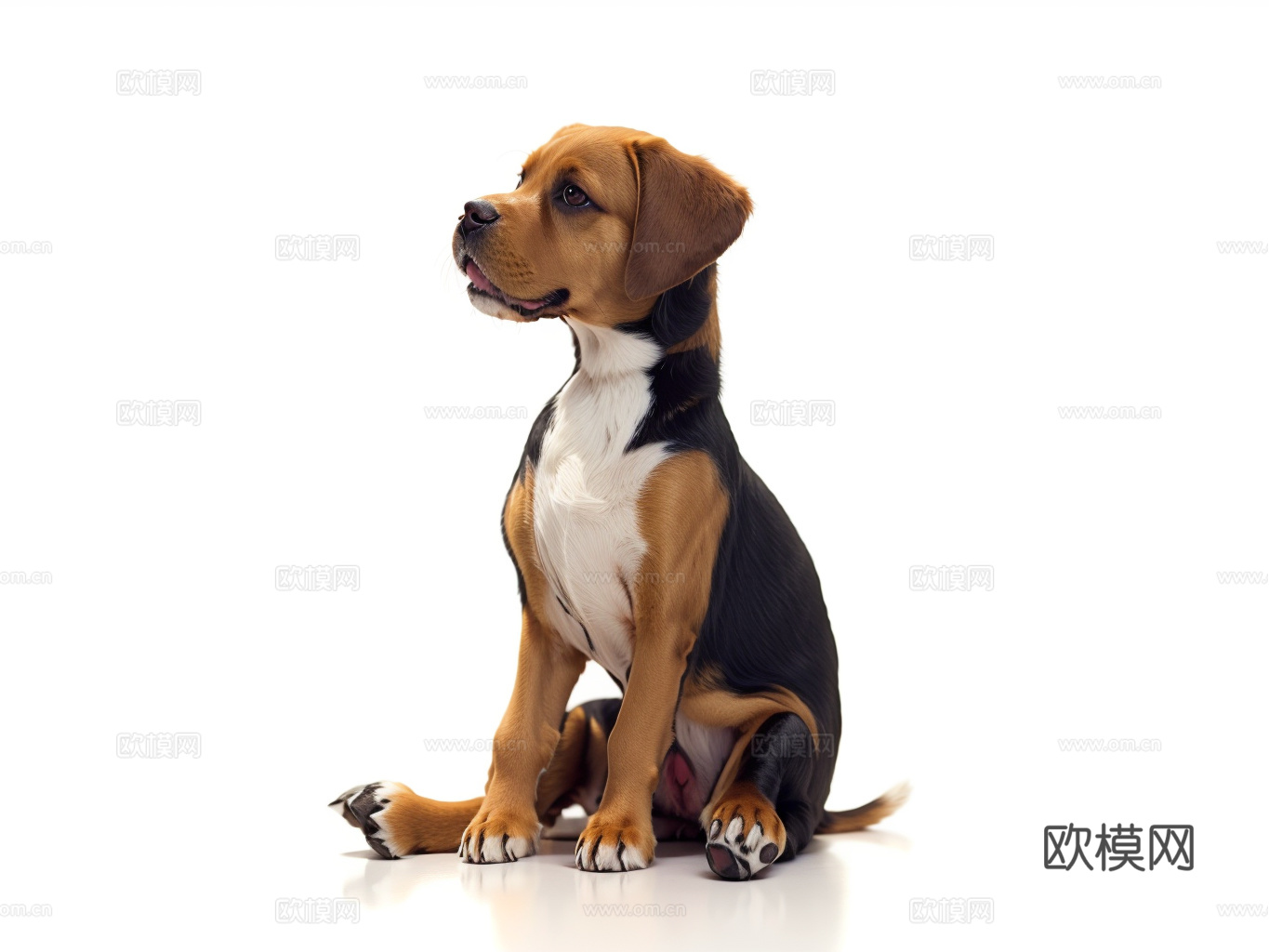 家居灯具饰品摆件室外小品器材设备su模型