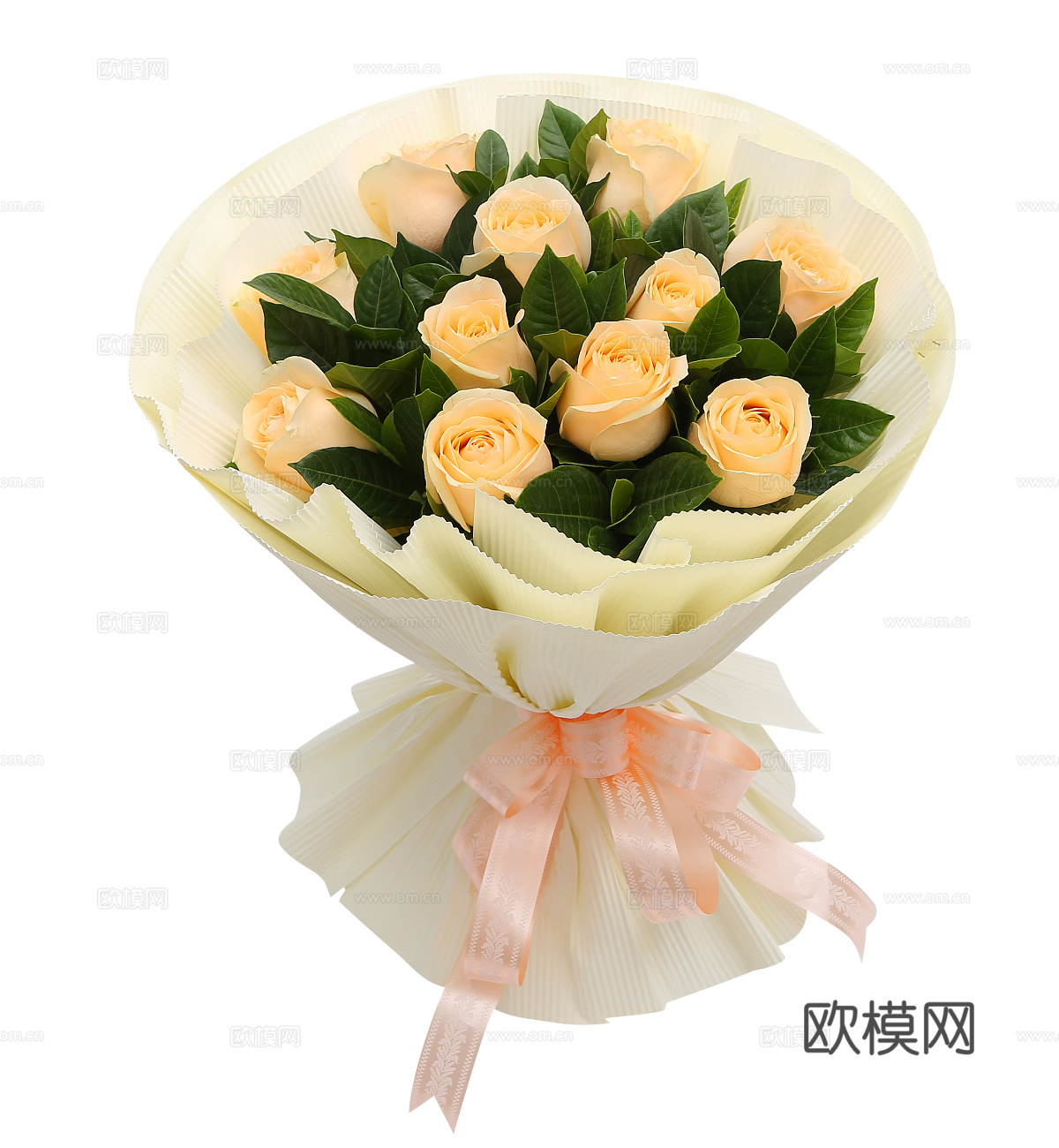 现代花卉植物PNG免抠