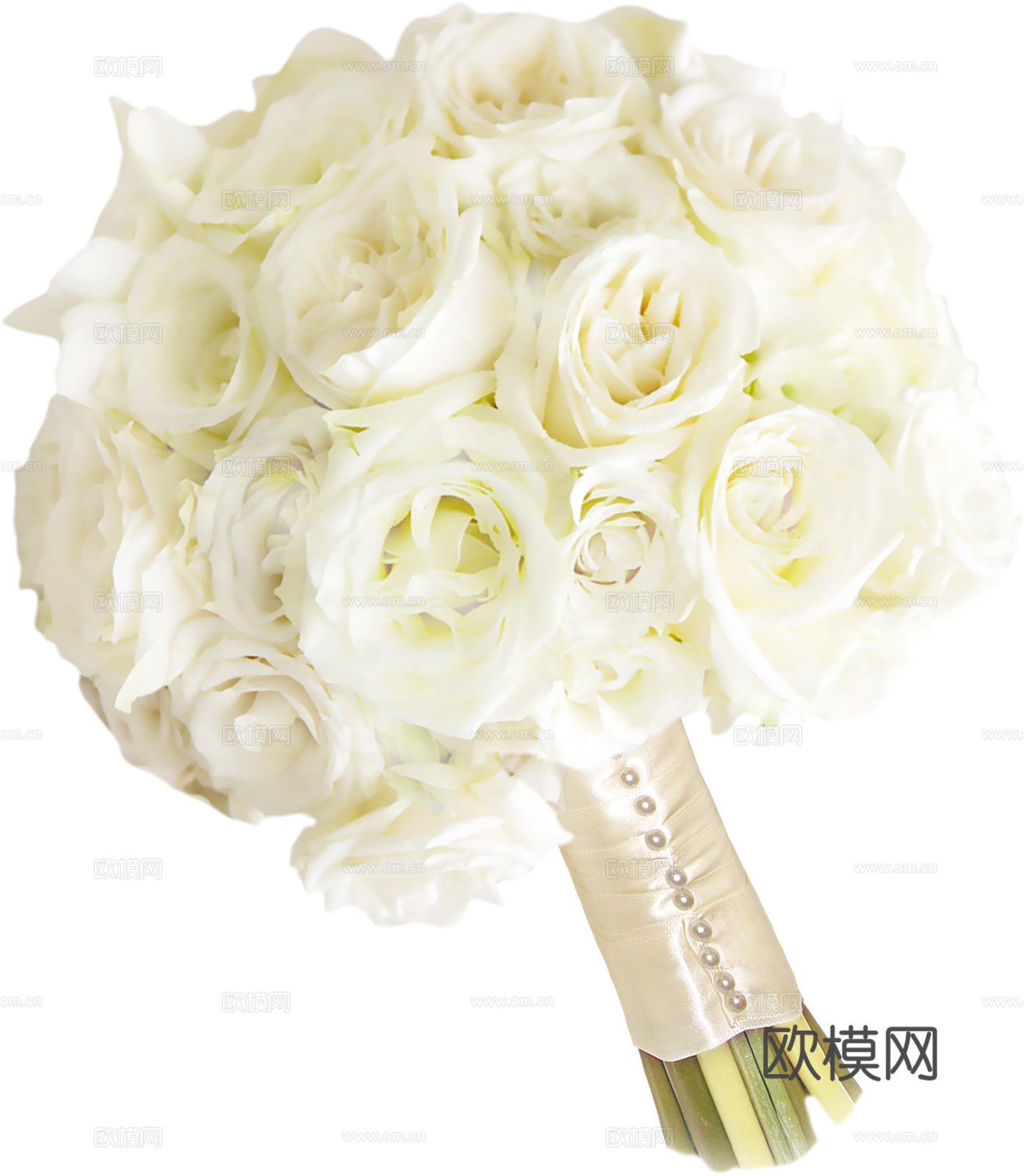 现代花卉植物PNG免抠