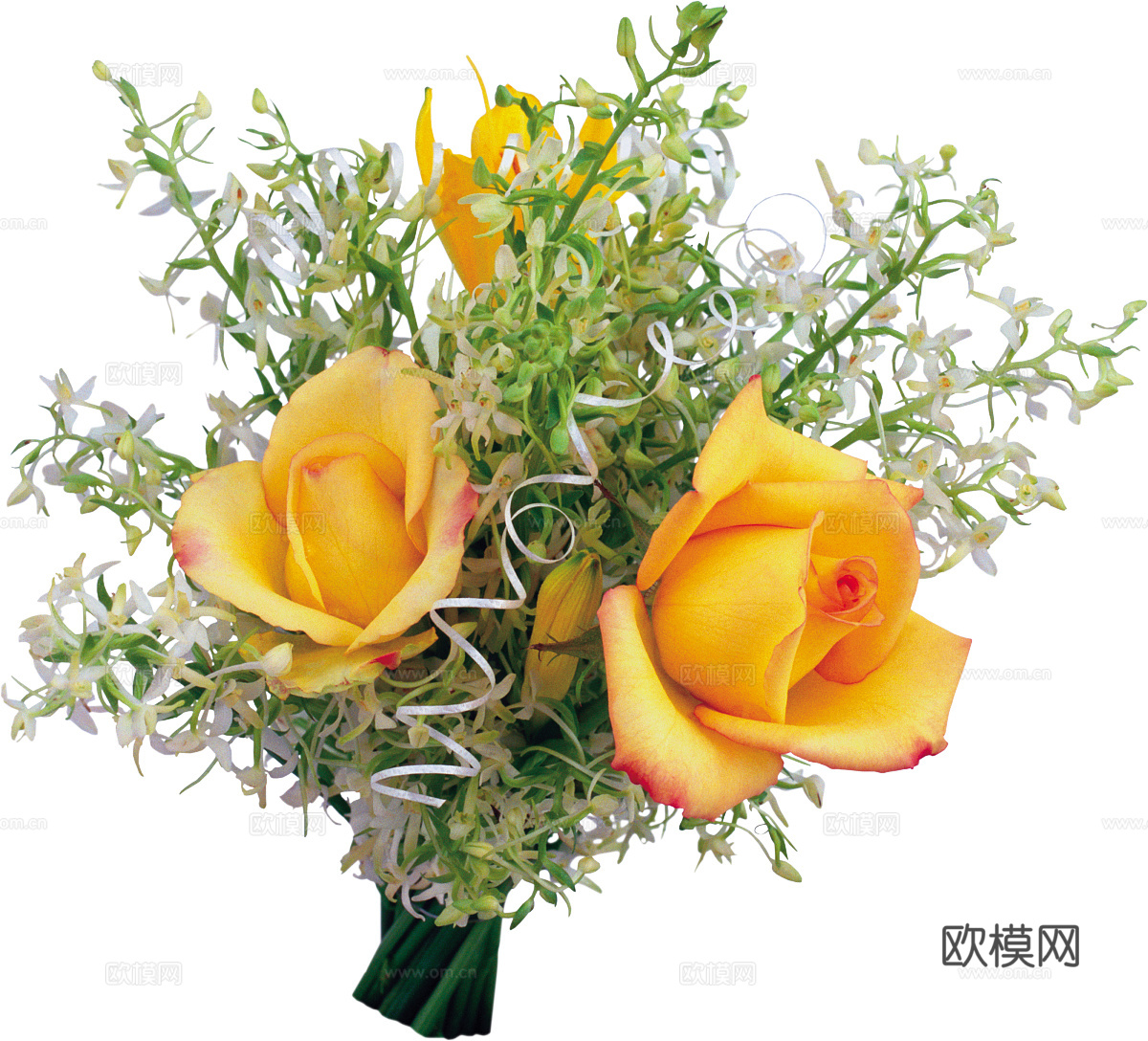 现代花卉植物PNG免抠