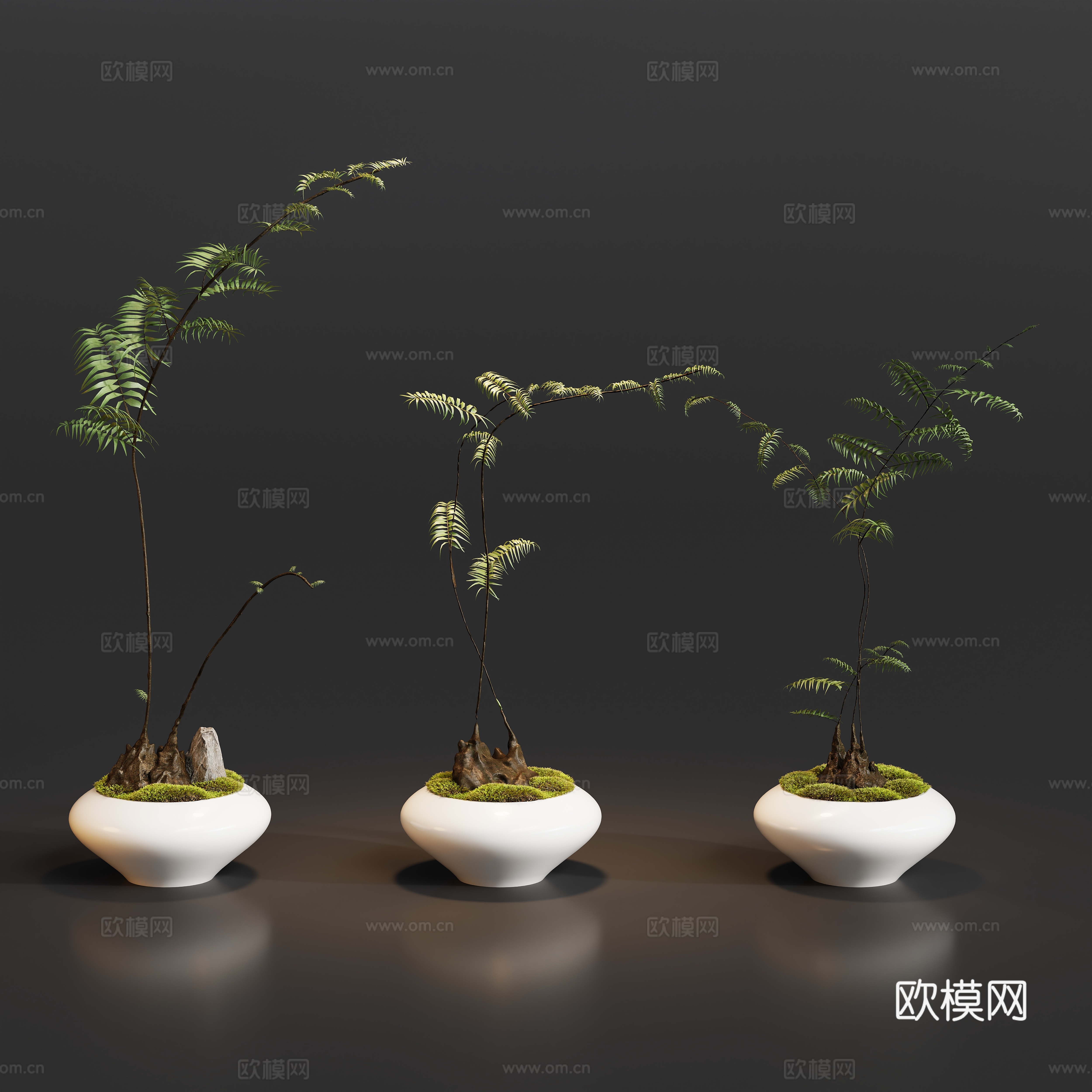 盆栽植物摆件su模型