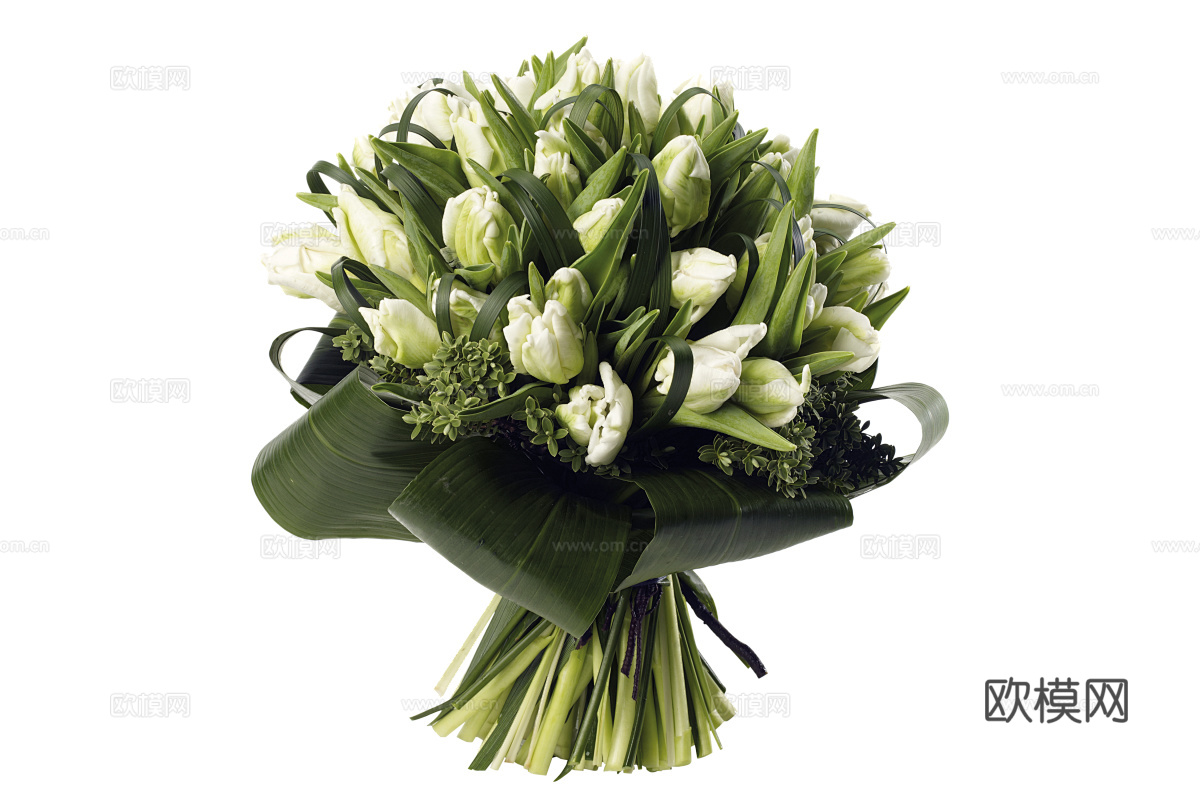 现代花卉植物PNG免抠