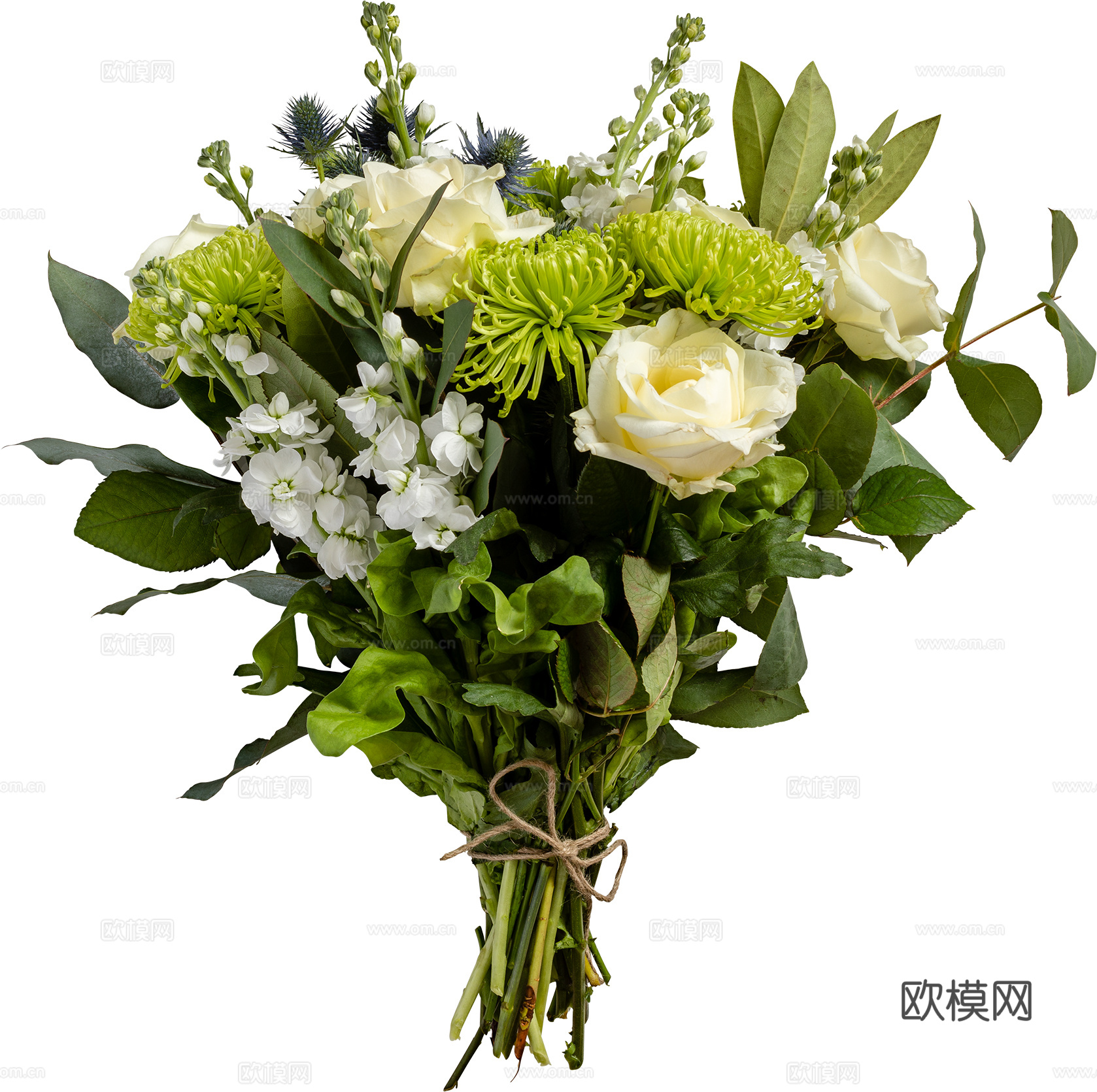 现代花卉植物PNG免抠