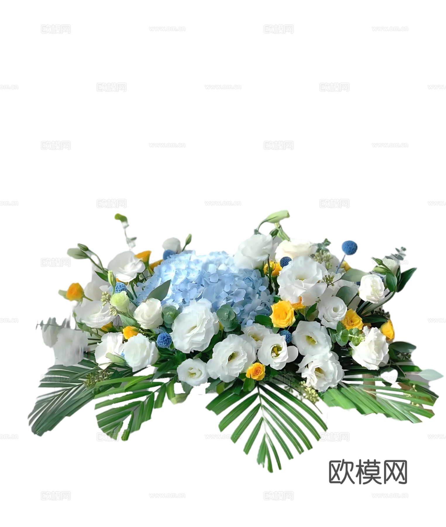 现代花卉植物PNG免抠