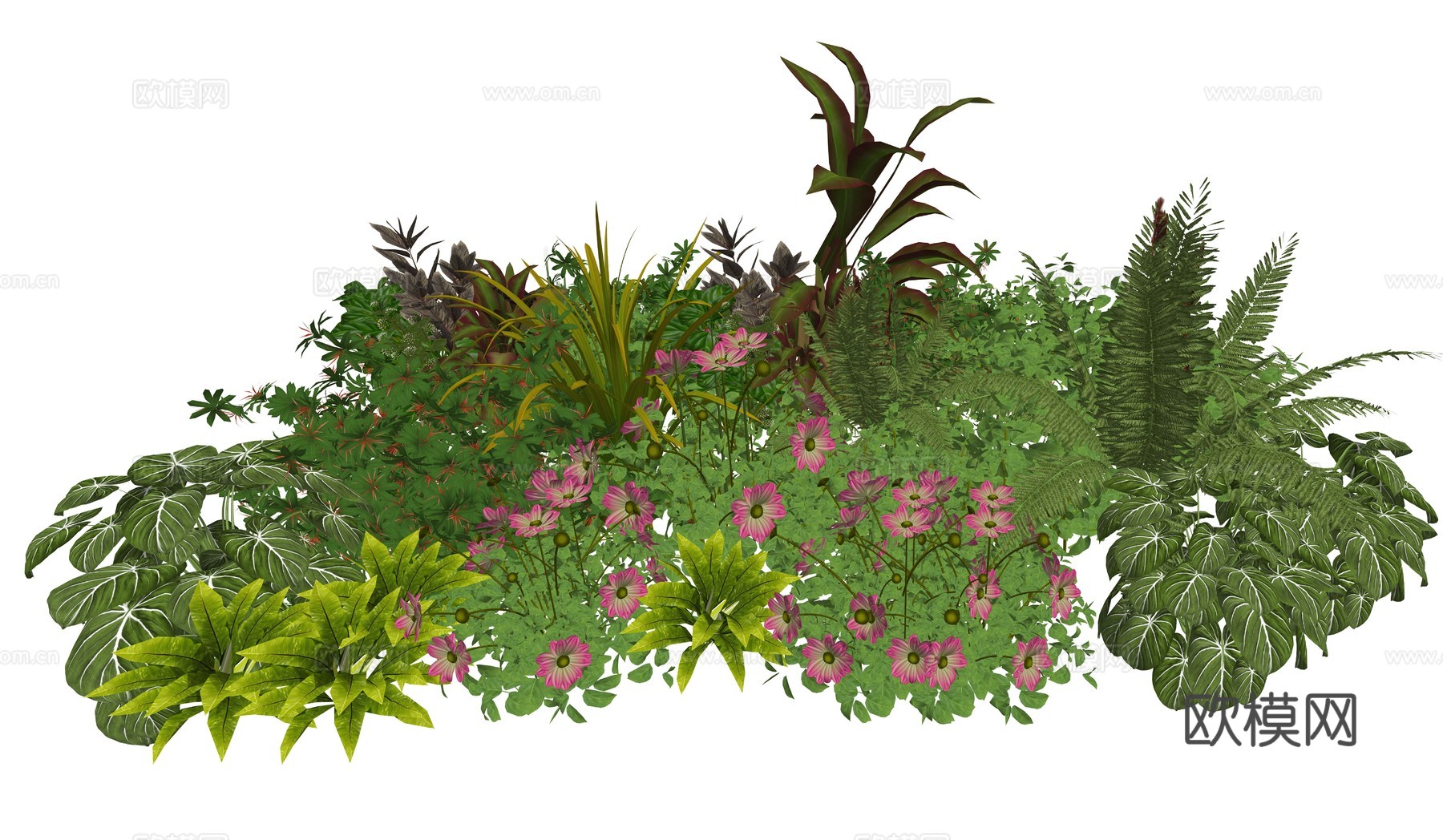 现代庭院景观植物组合su模型