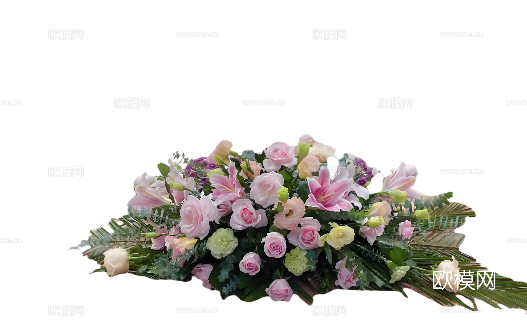 现代花卉植物PNG免抠