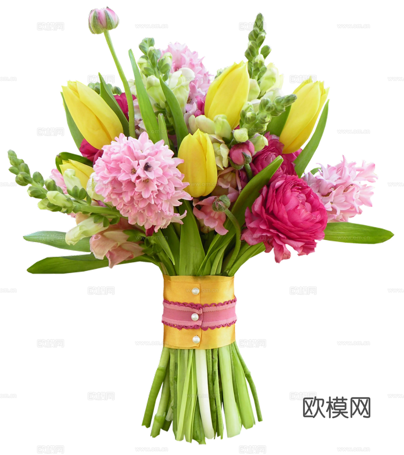 现代花卉植物PNG免抠