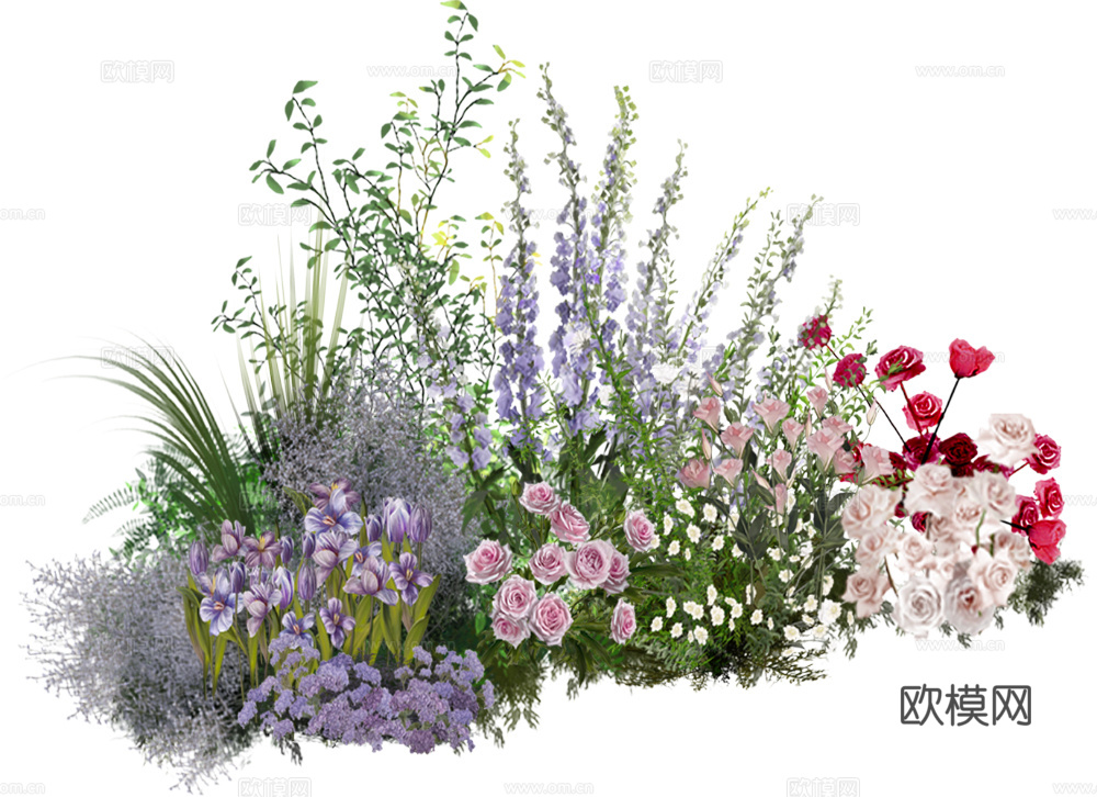 现代花卉植物PNG免抠