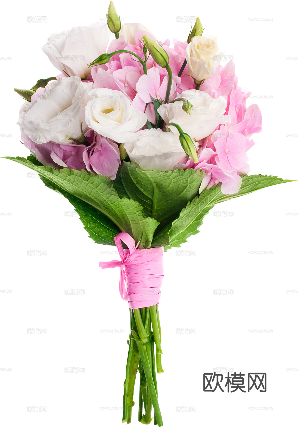 现代花卉植物PNG免抠