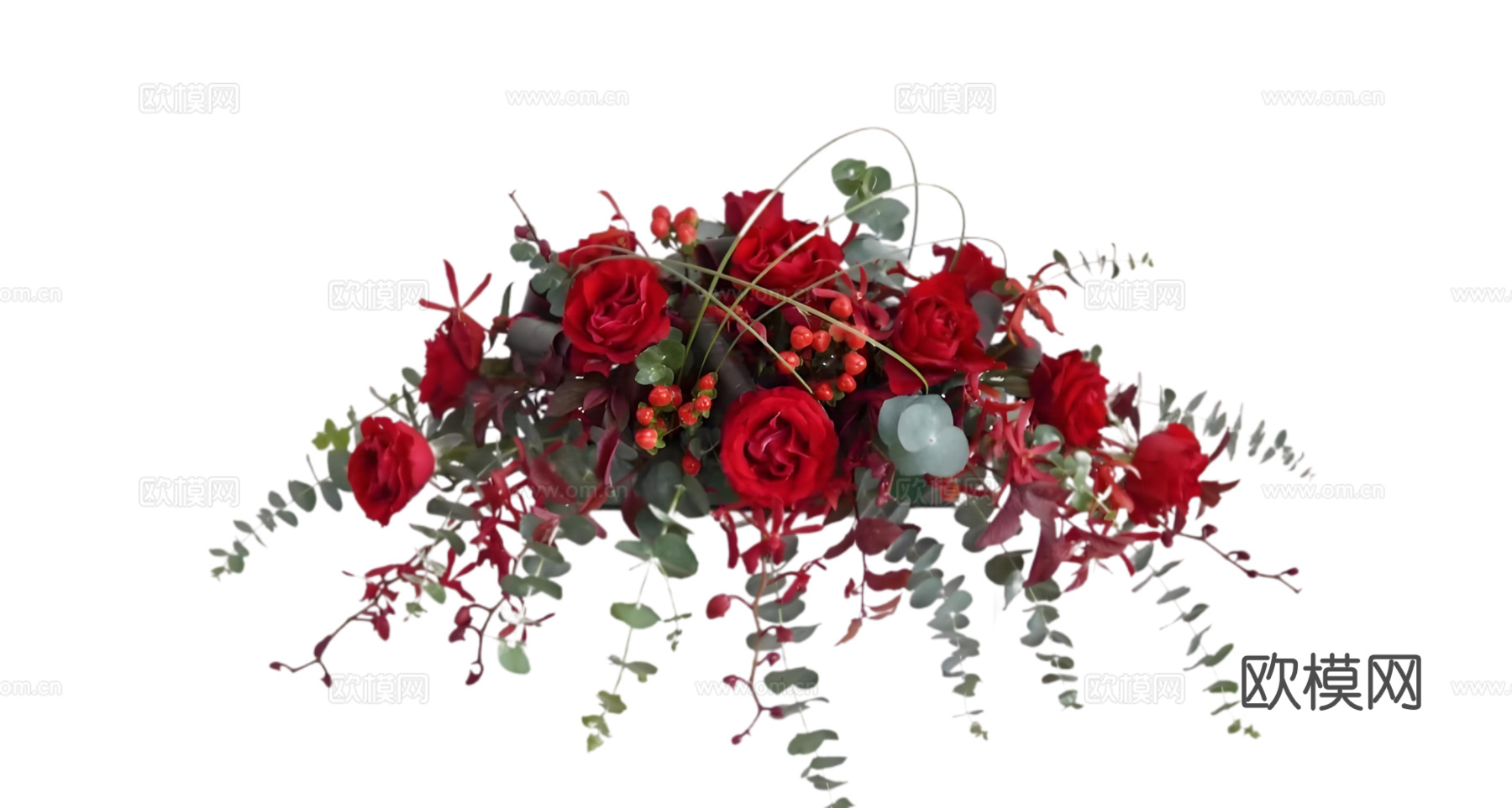 现代花卉植物PNG免抠