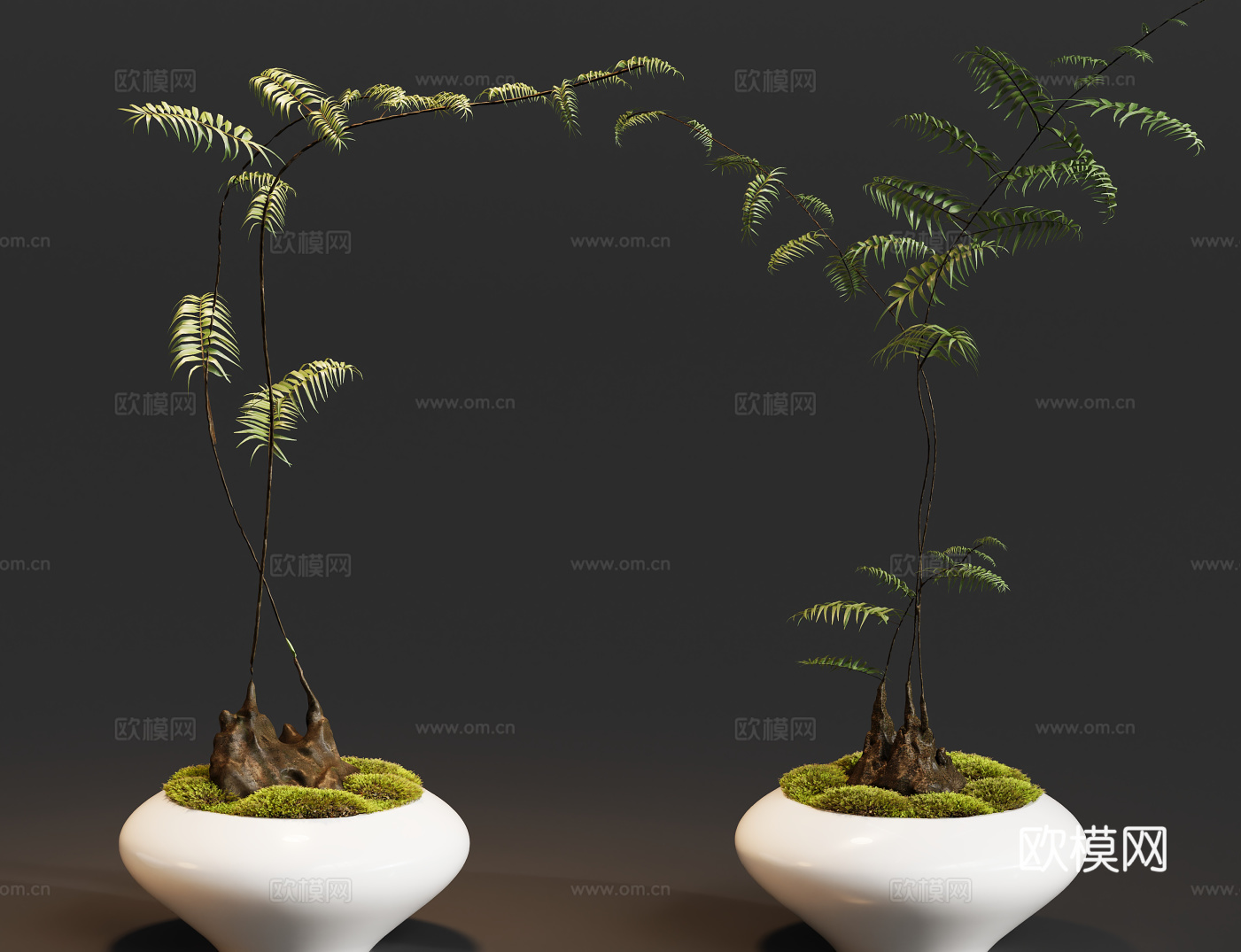 盆栽植物摆件su模型