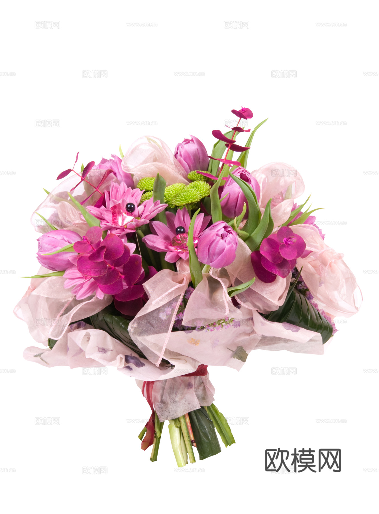 现代花卉植物PNG免抠