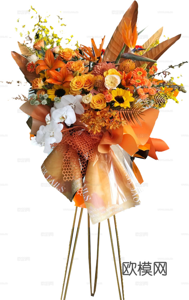 现代花卉植物PNG免抠