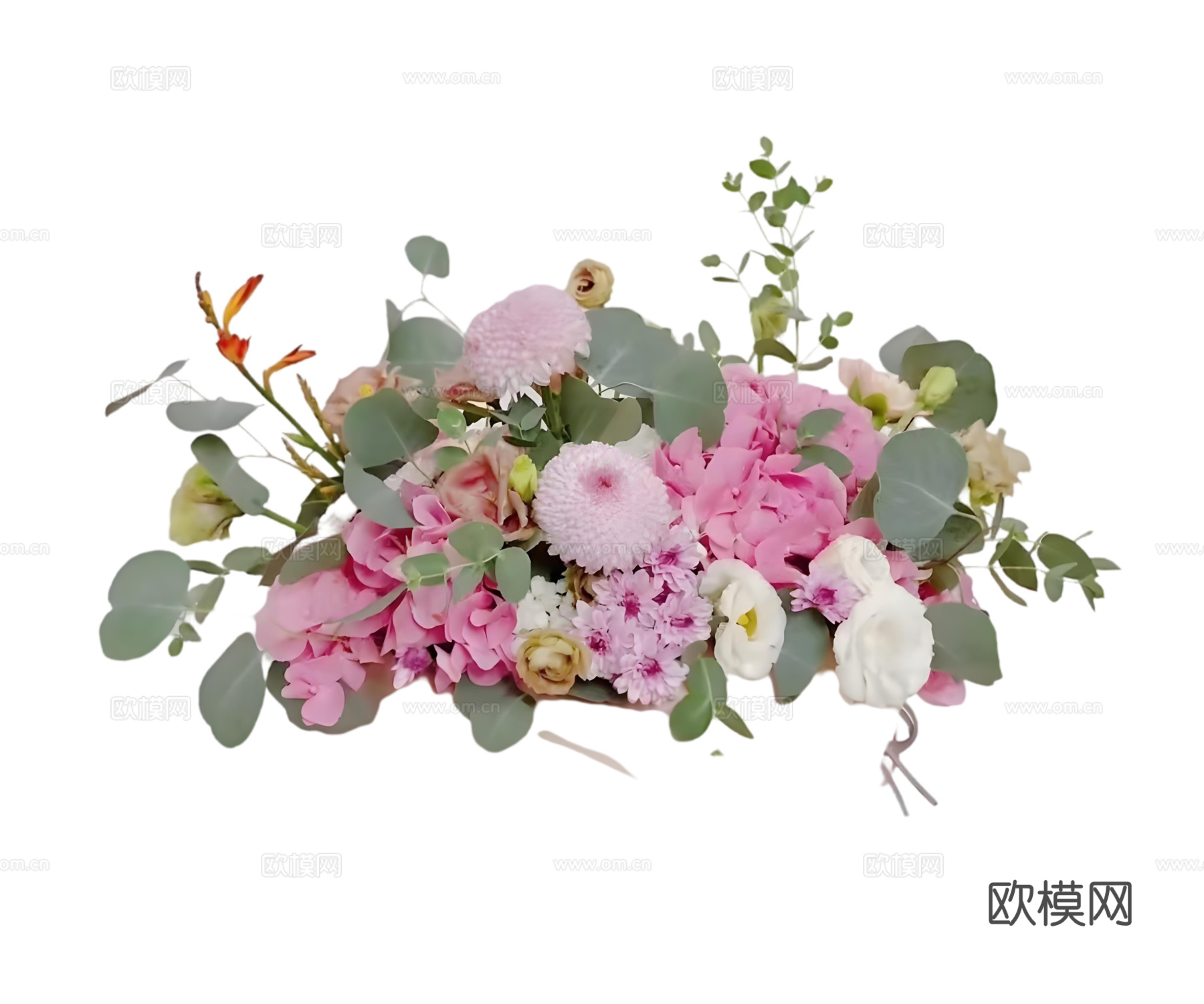 现代花卉植物PNG免抠