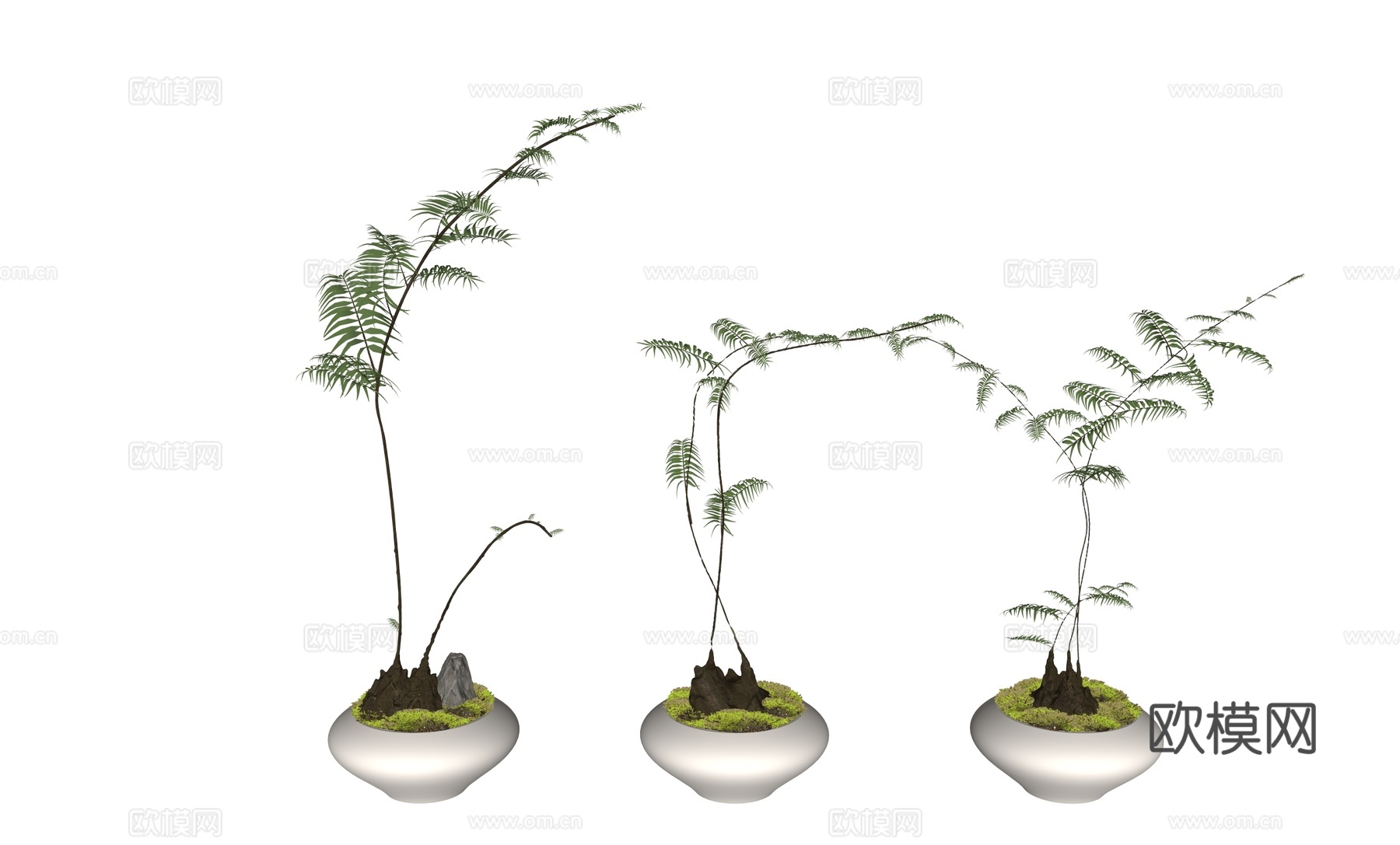 盆栽植物摆件su模型