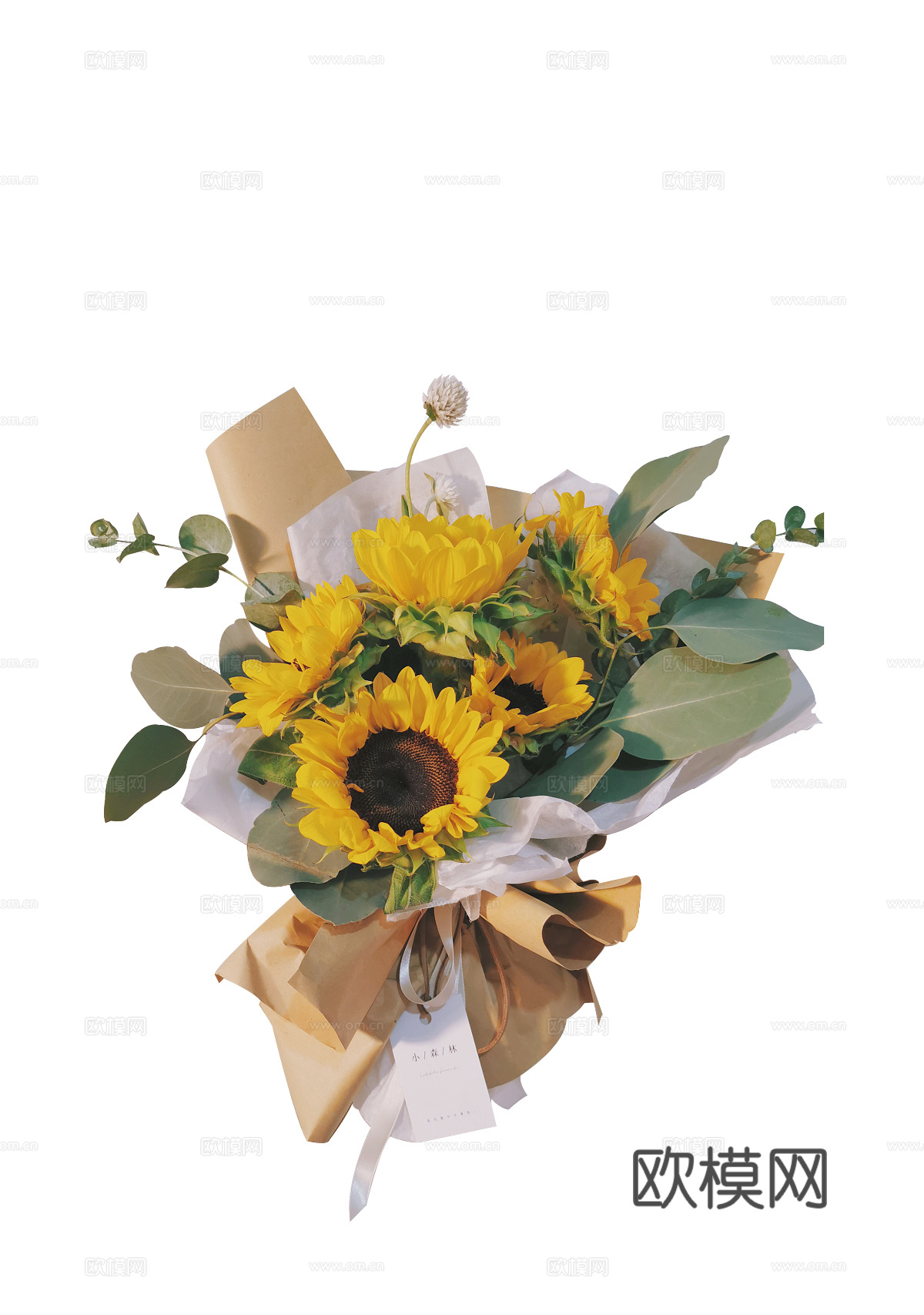 现代花卉植物PNG免抠