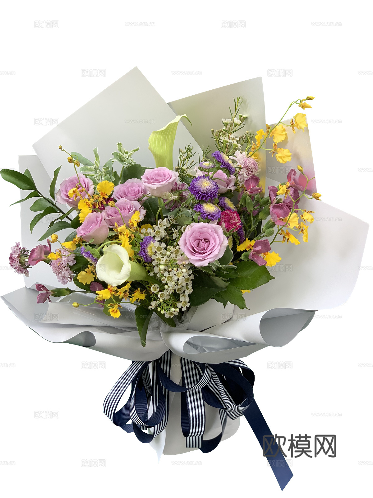 现代花卉植物PNG免抠