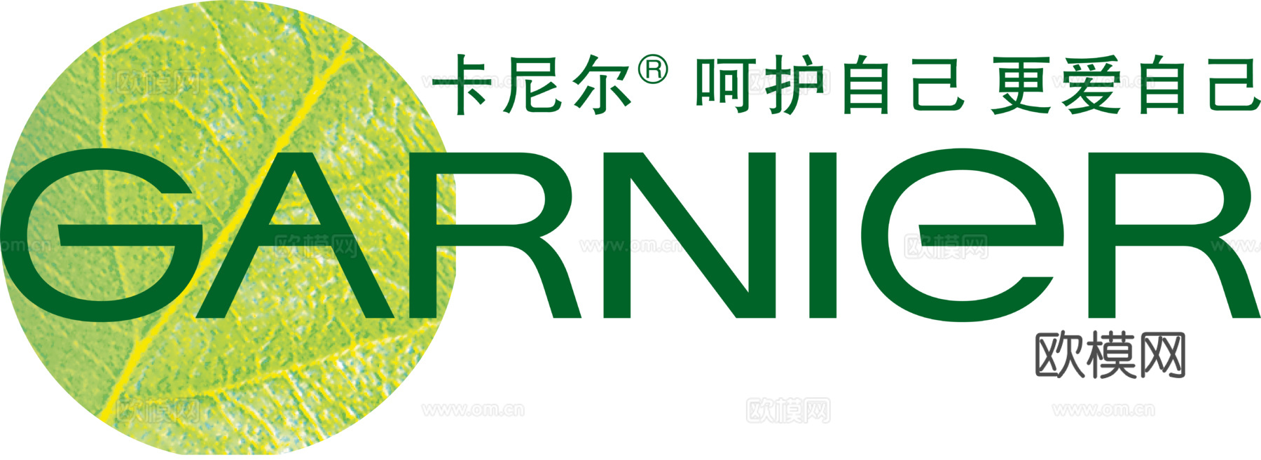 卡尼尔，清洁护肤logo