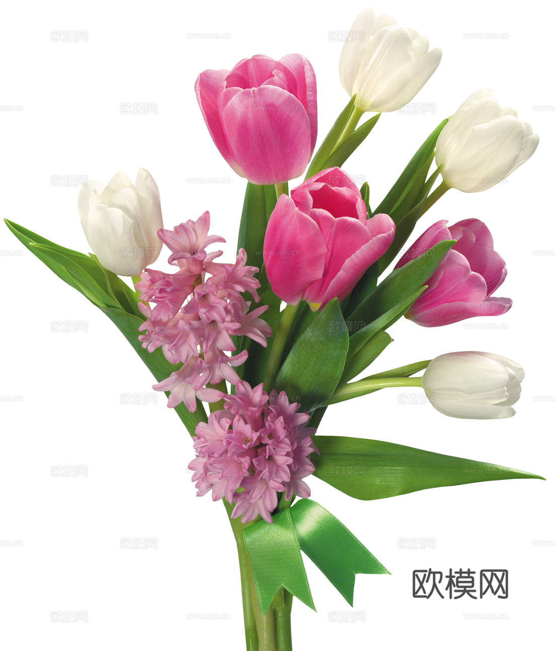 现代花卉植物PNG免抠