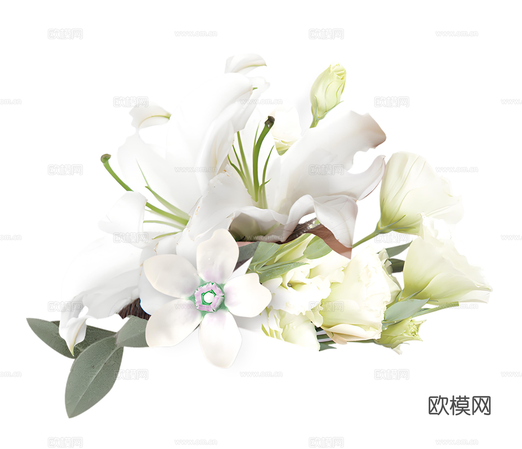 现代花卉植物PNG免抠