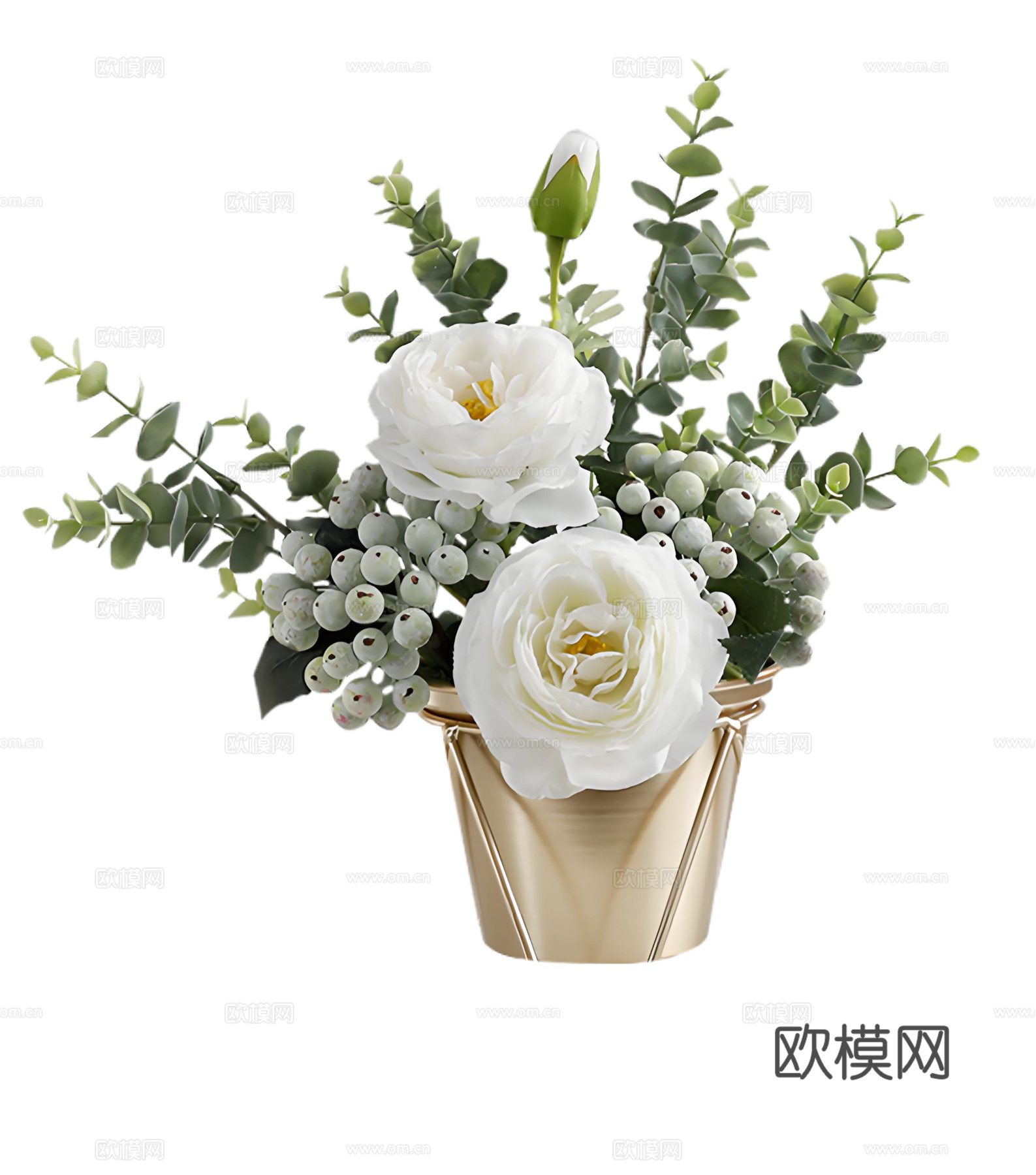 现代花卉植物PNG免抠