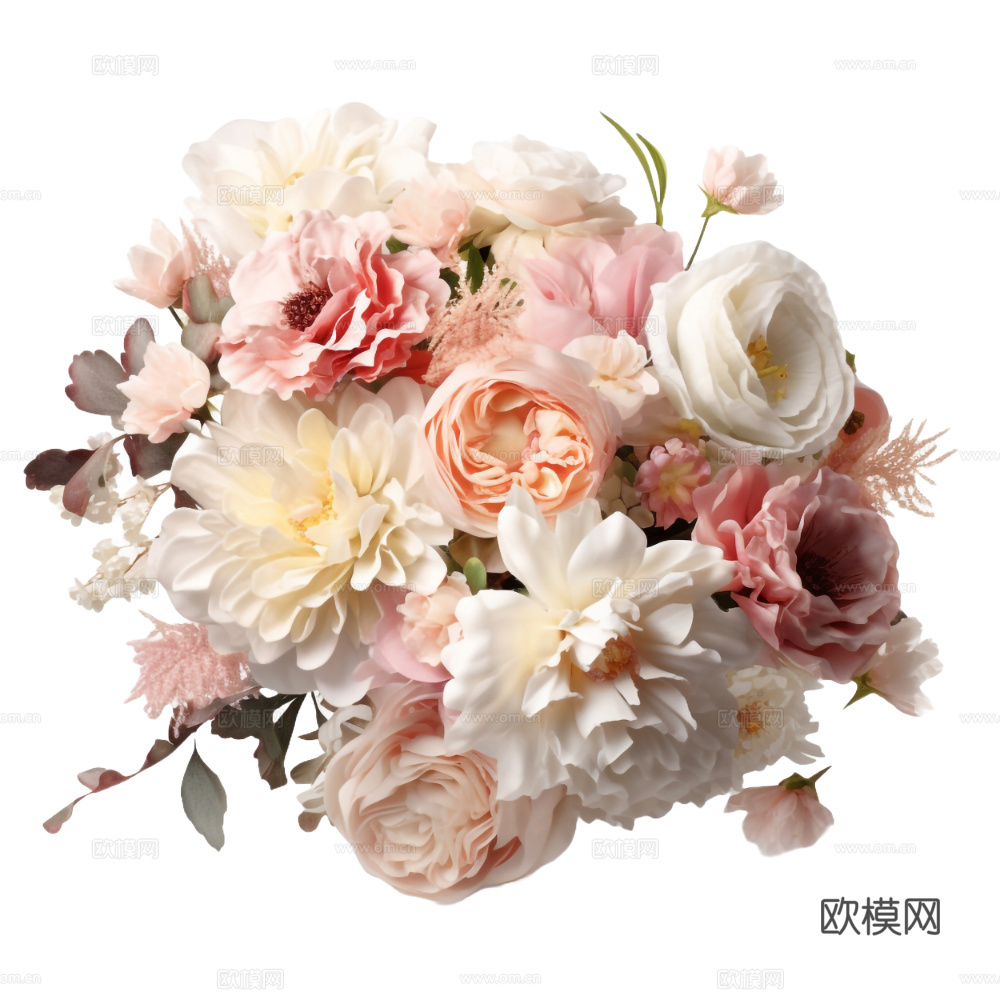 现代花卉植物PNG免抠