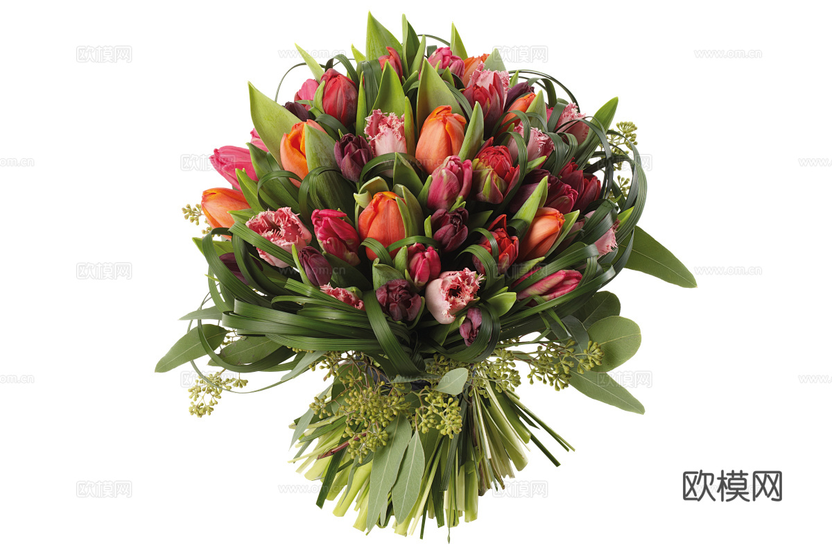 现代花卉植物PNG免抠