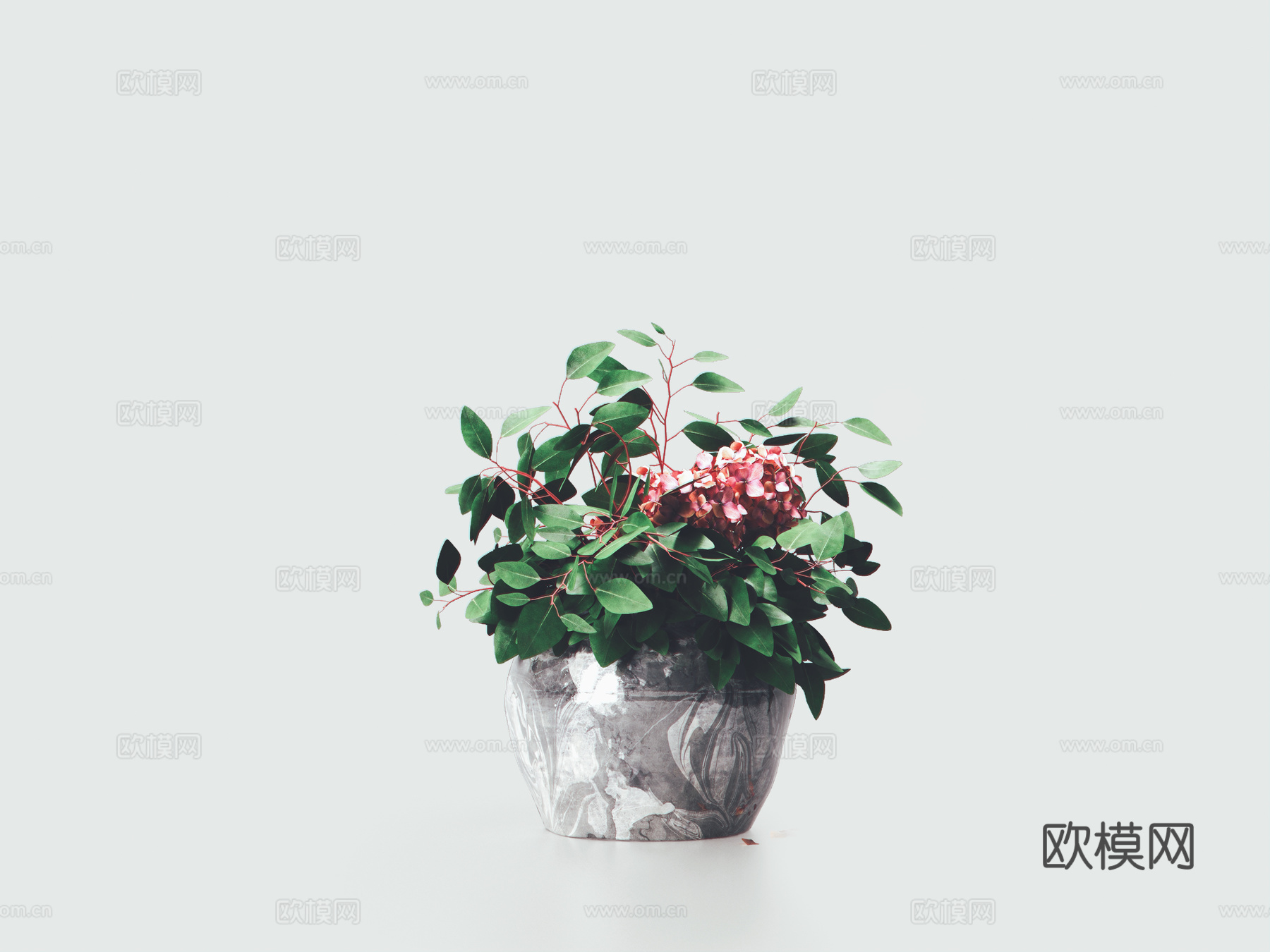现代盆栽植物花3d模型下载（渲染图1）