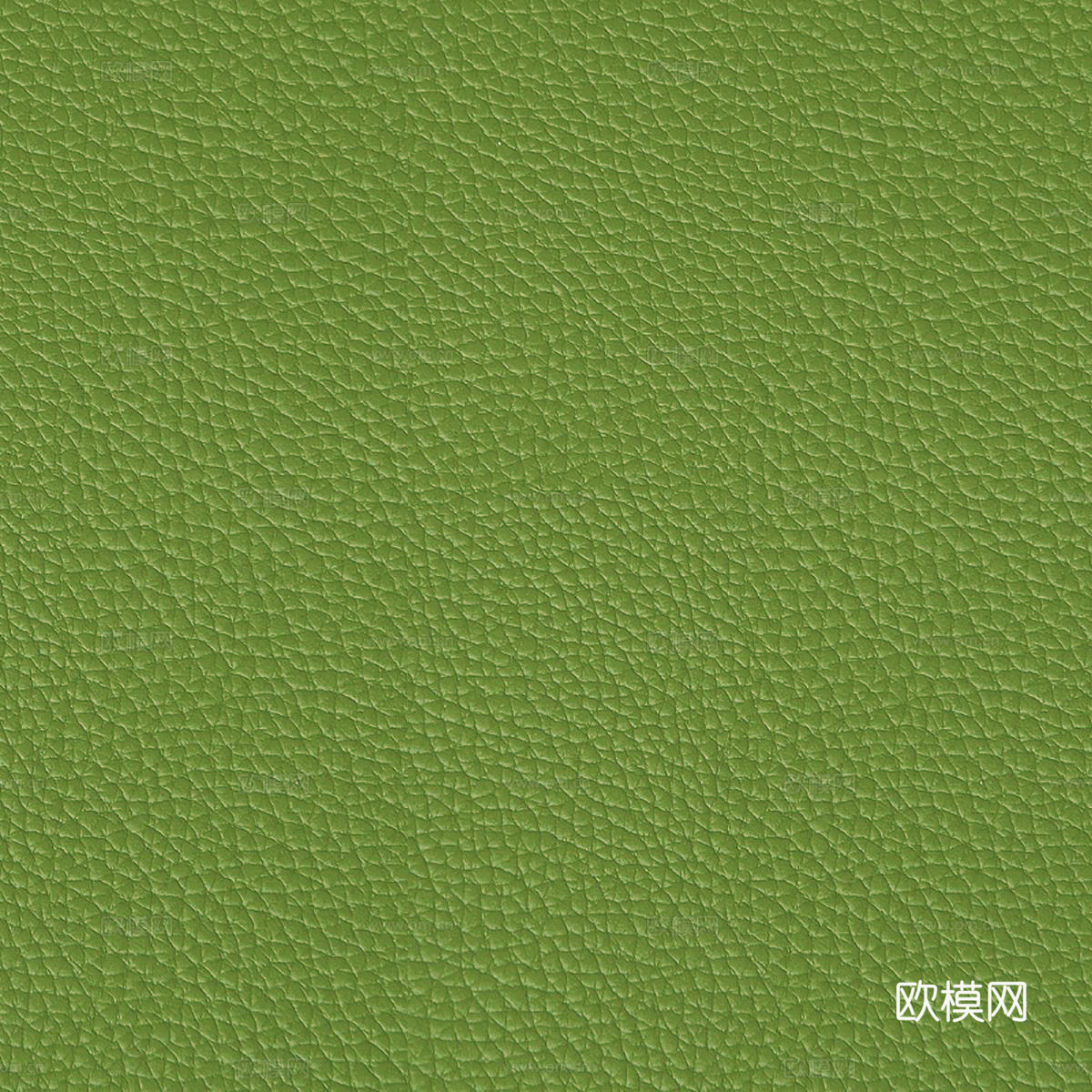 绿色皮革
