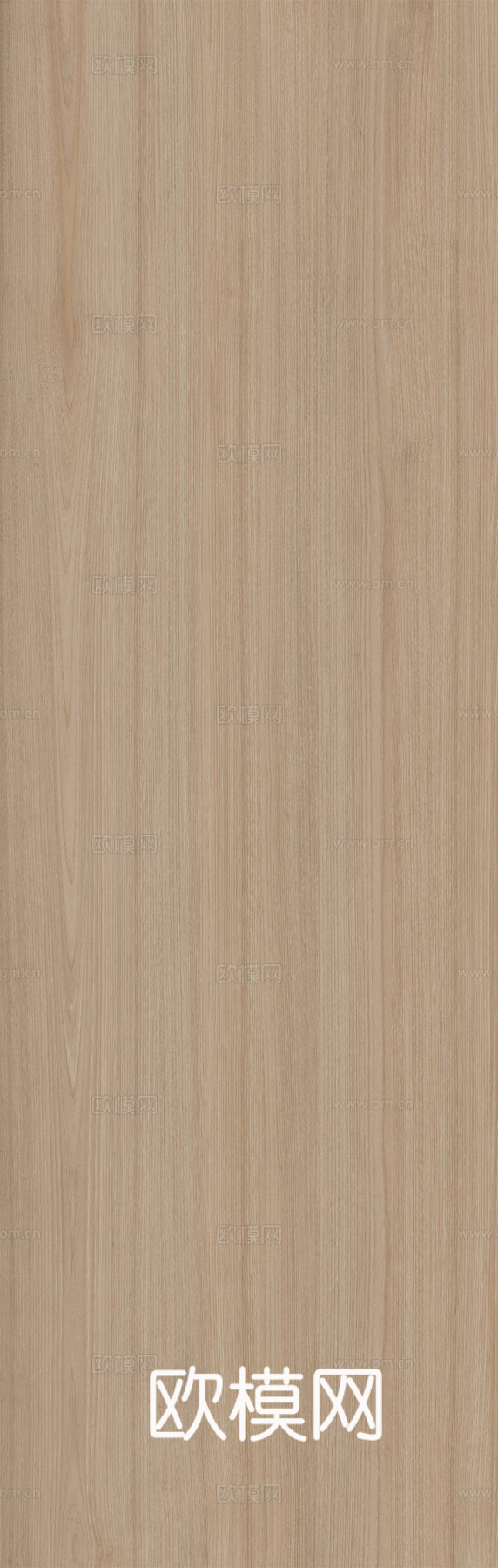 白蜡木 木材 木纹 超高清木纹