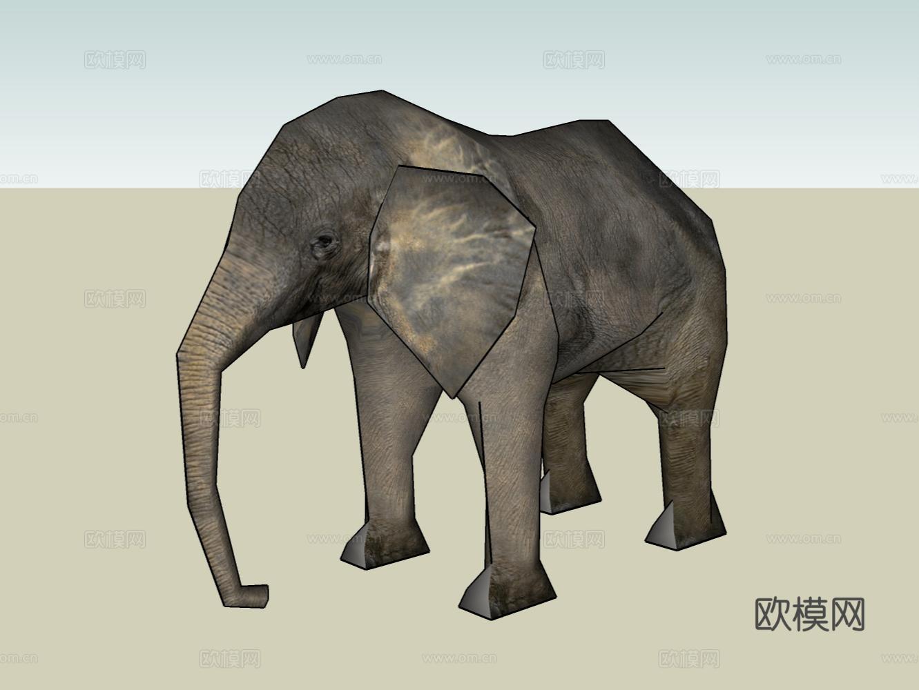 大象su模型