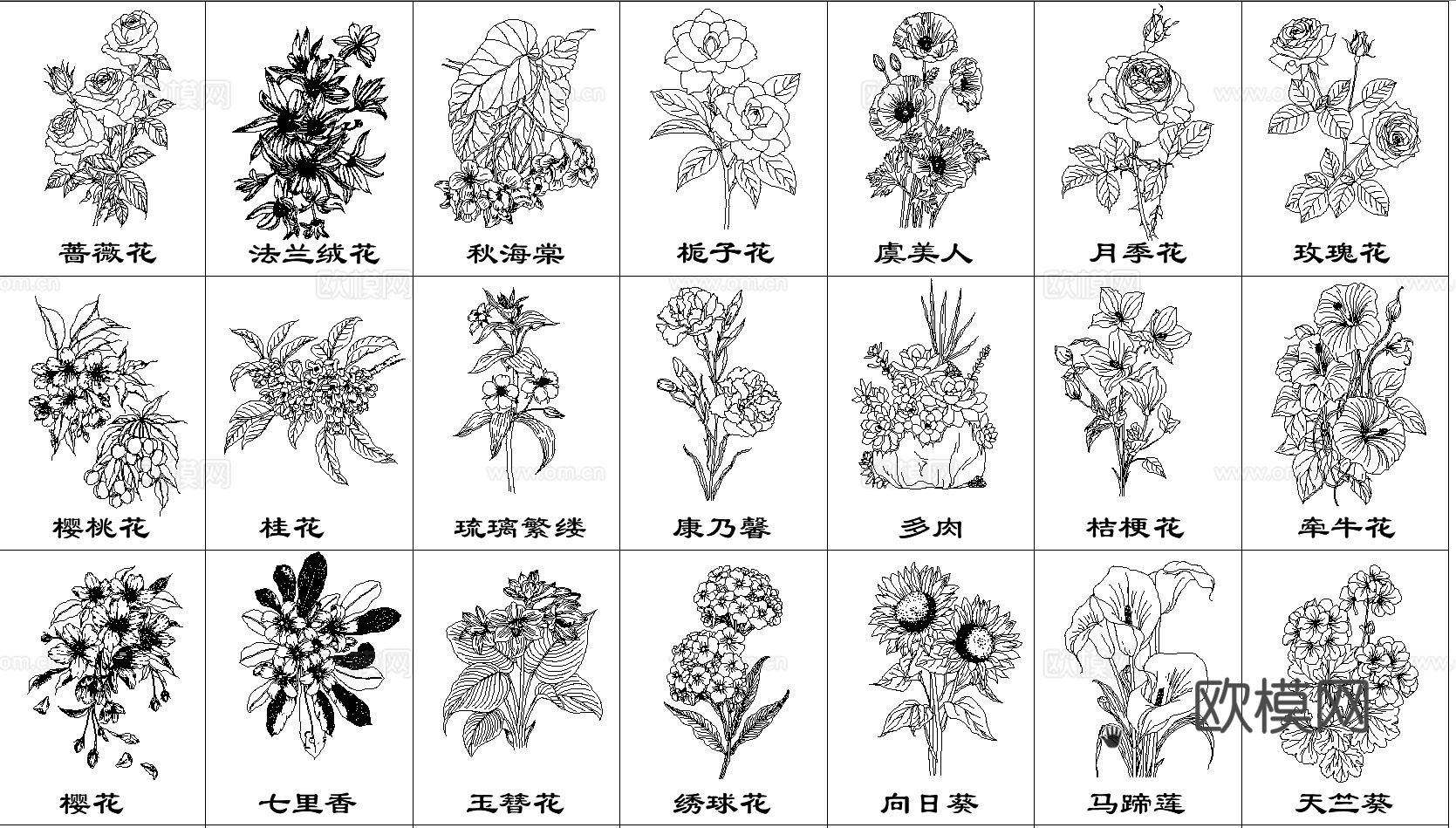 现代鲜花花卉CAD立面图cad施工图