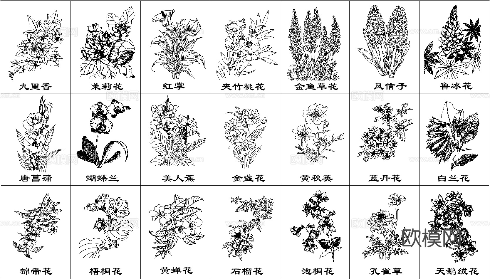 现代鲜花花卉CAD立面图cad施工图