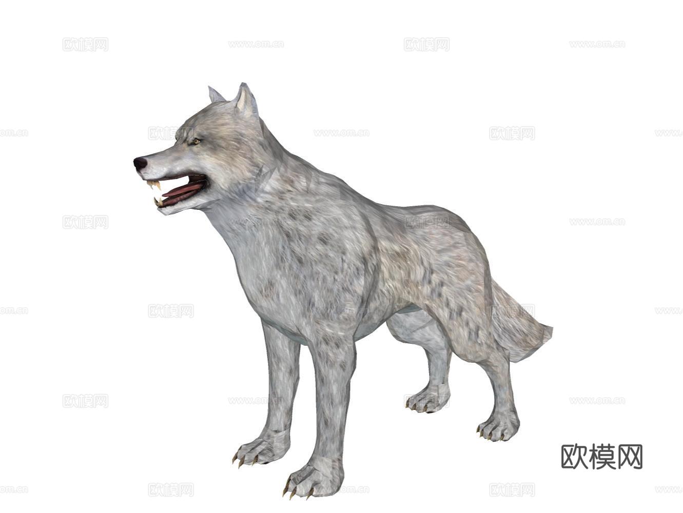 狼su模型