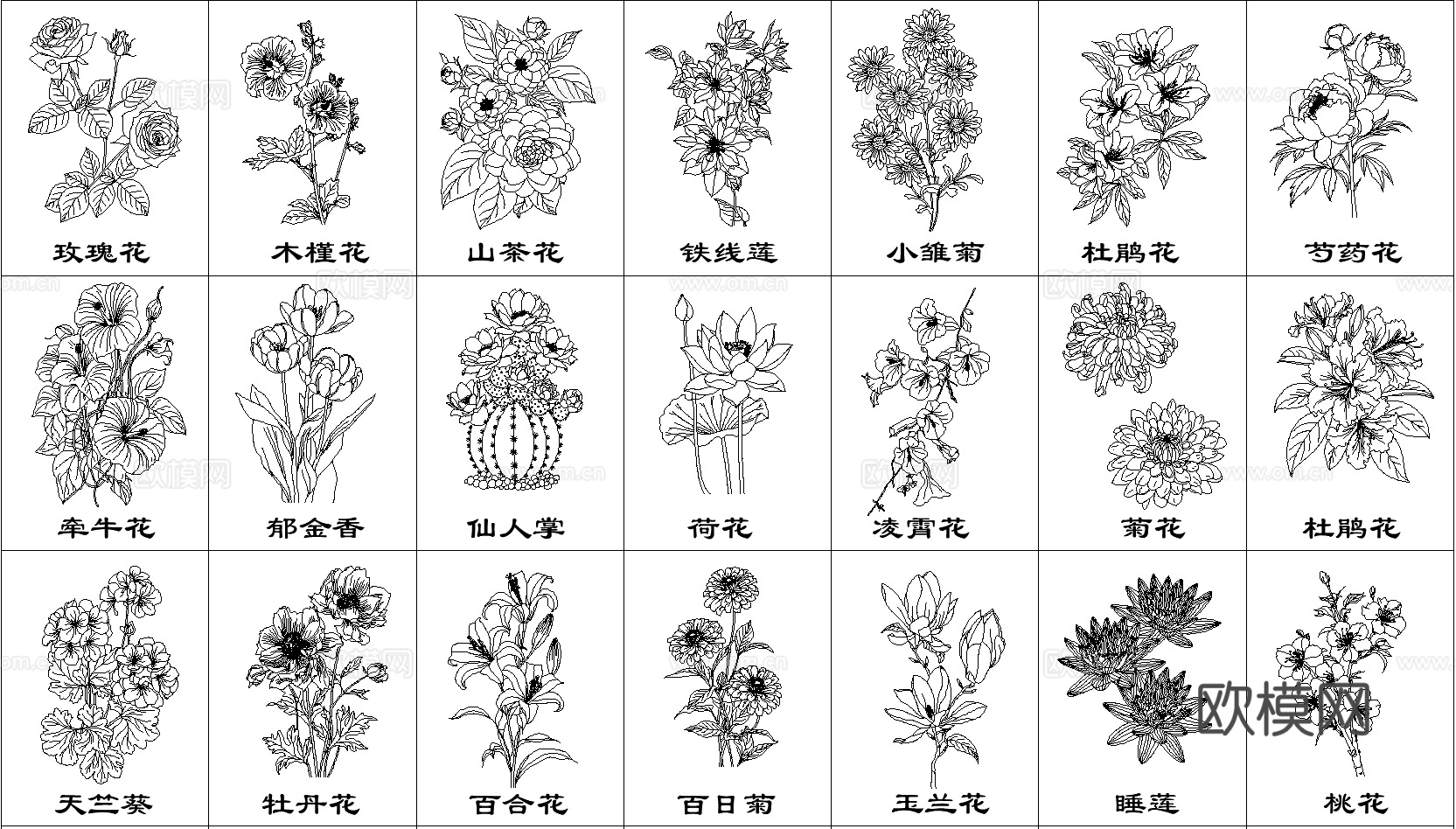 现代鲜花花卉CAD立面图cad施工图