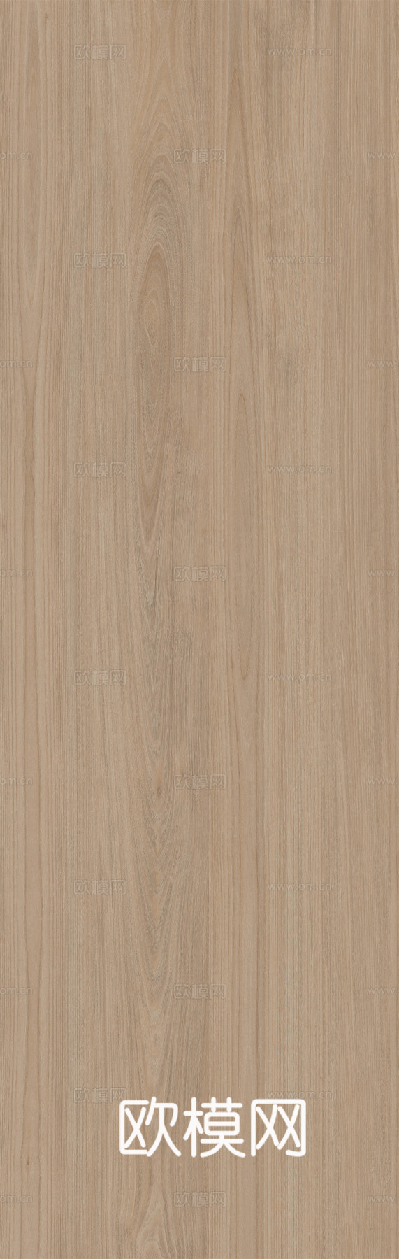 白蜡木 木材 木纹 超高清木纹