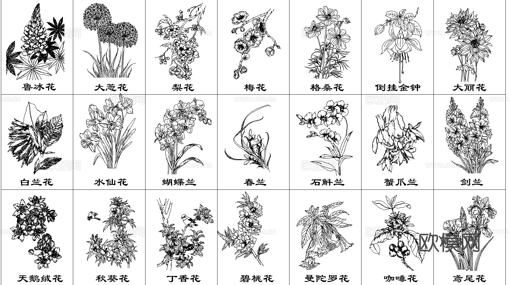 现代鲜花花卉CAD立面图cad施工图