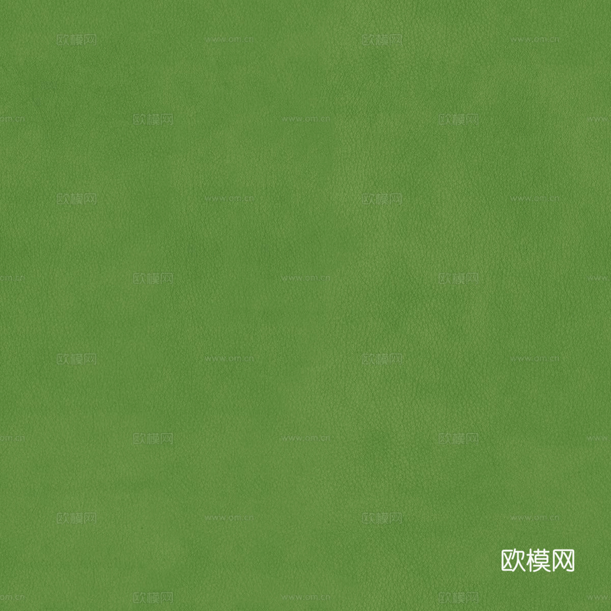 绿色皮革