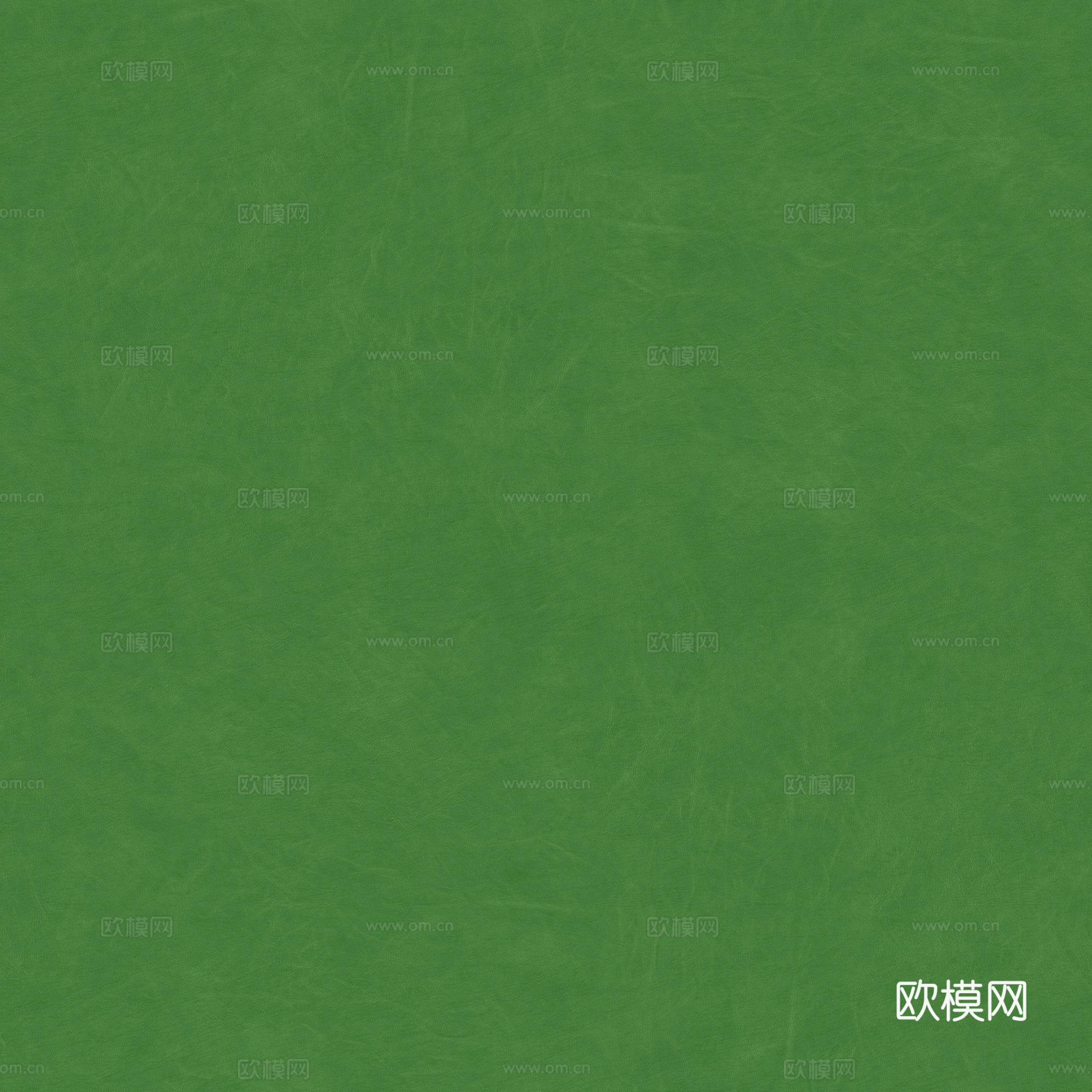 绿色皮革