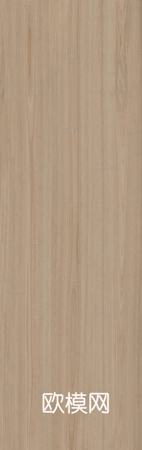 白蜡木 木材 木纹 超高清木纹