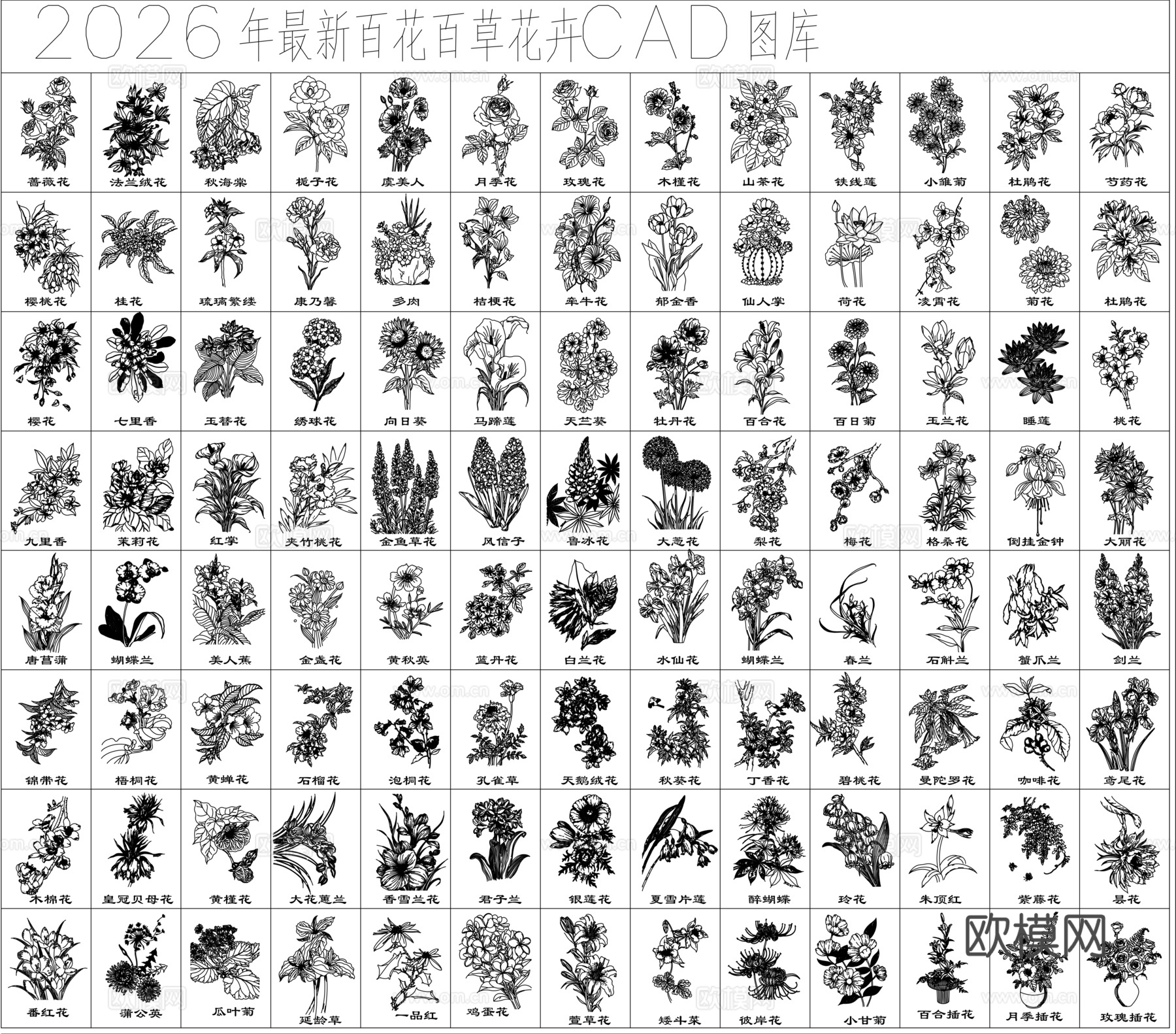 现代鲜花花卉CAD立面图cad施工图
