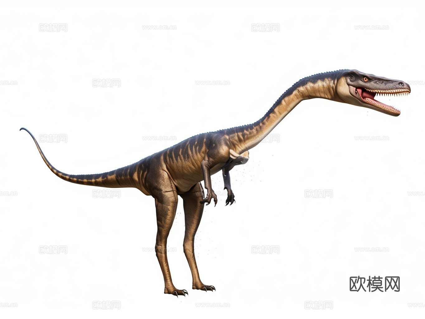 恐龙su模型