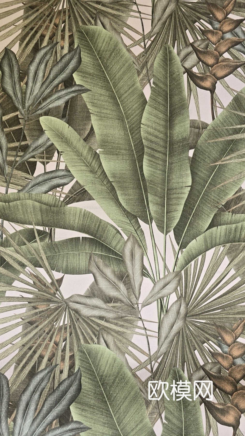 热带雨林植物壁纸 植物印花壁纸