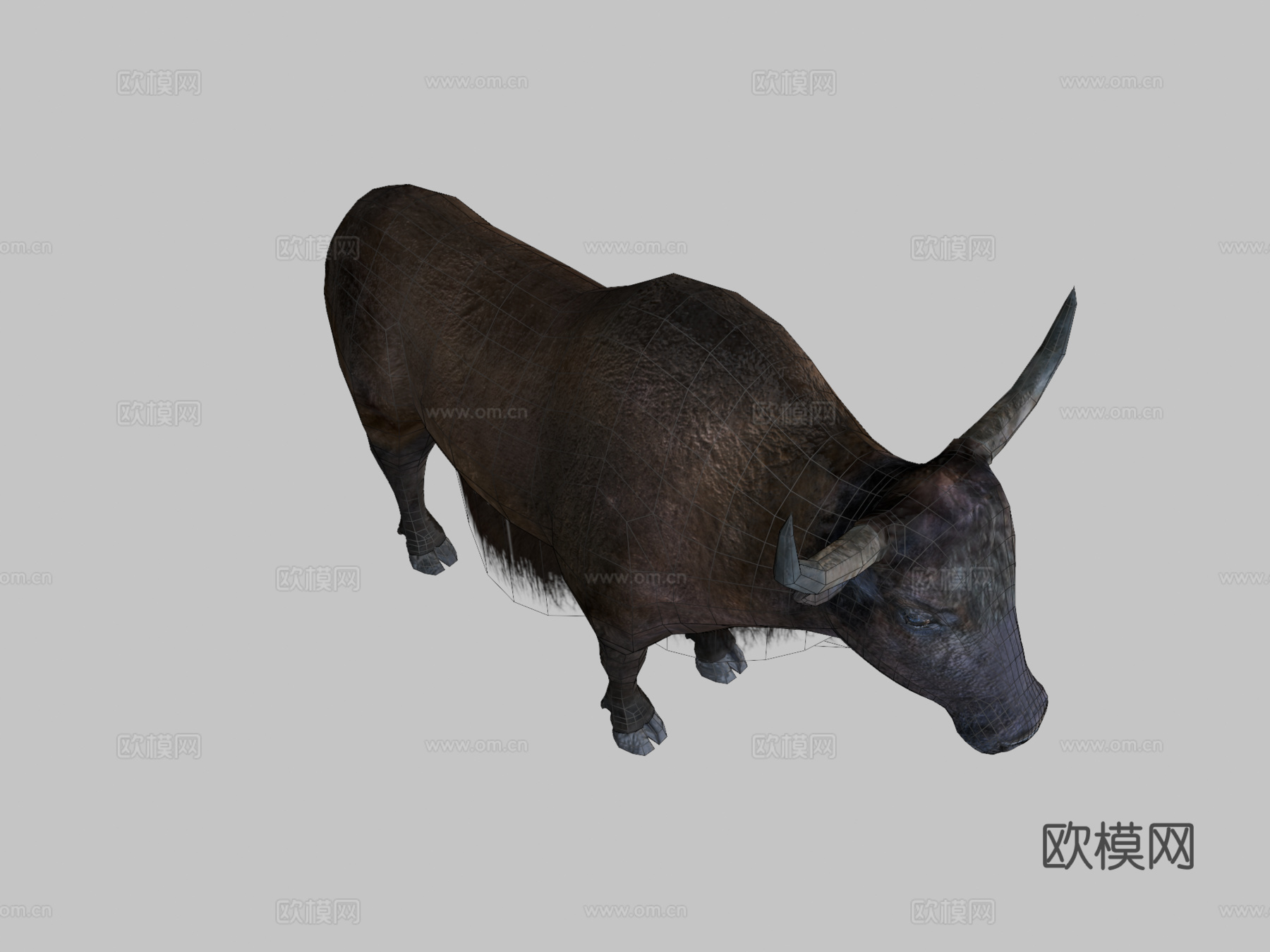 家养牦牛低多边形3d模型下载（渲染图2）