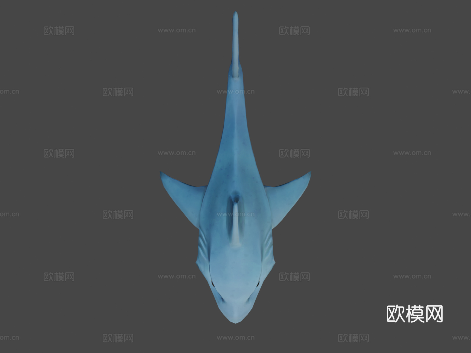 鲨鱼芬恩3d模型下载（渲染图8）